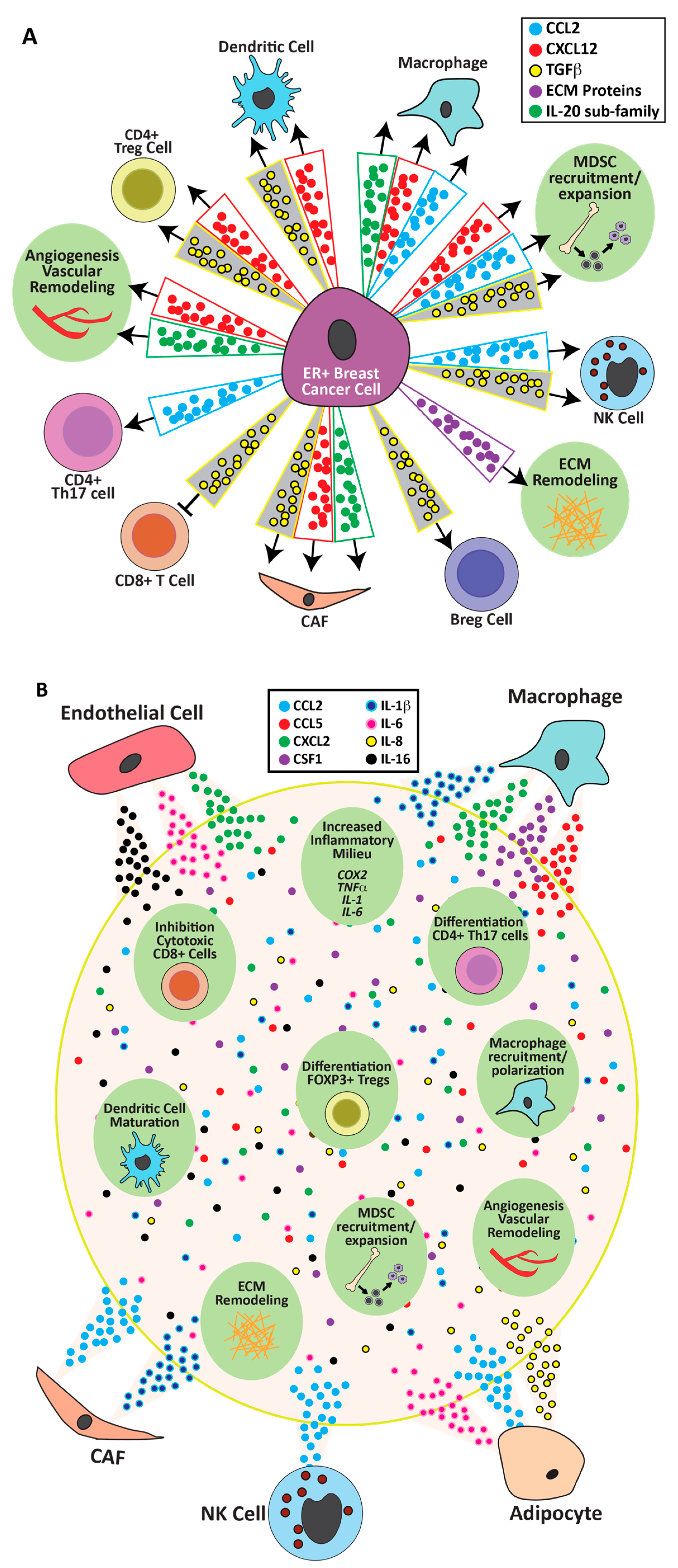 Cancers 13 03725 g002 Cancers 13 03725 g002
