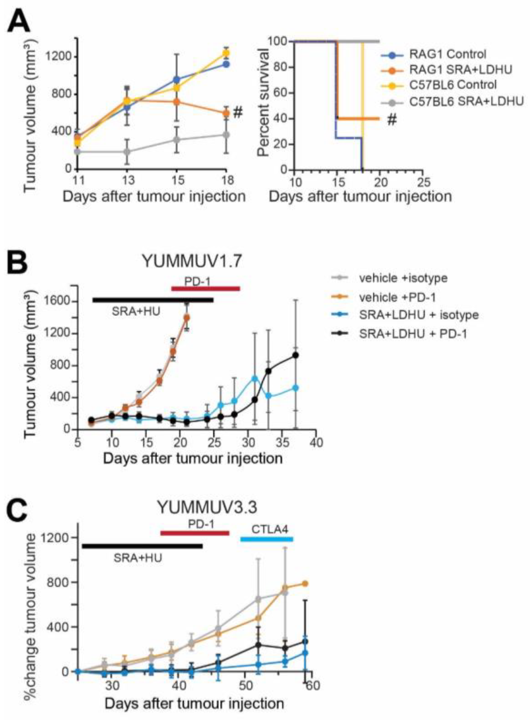 Cancers 13 03733 g006