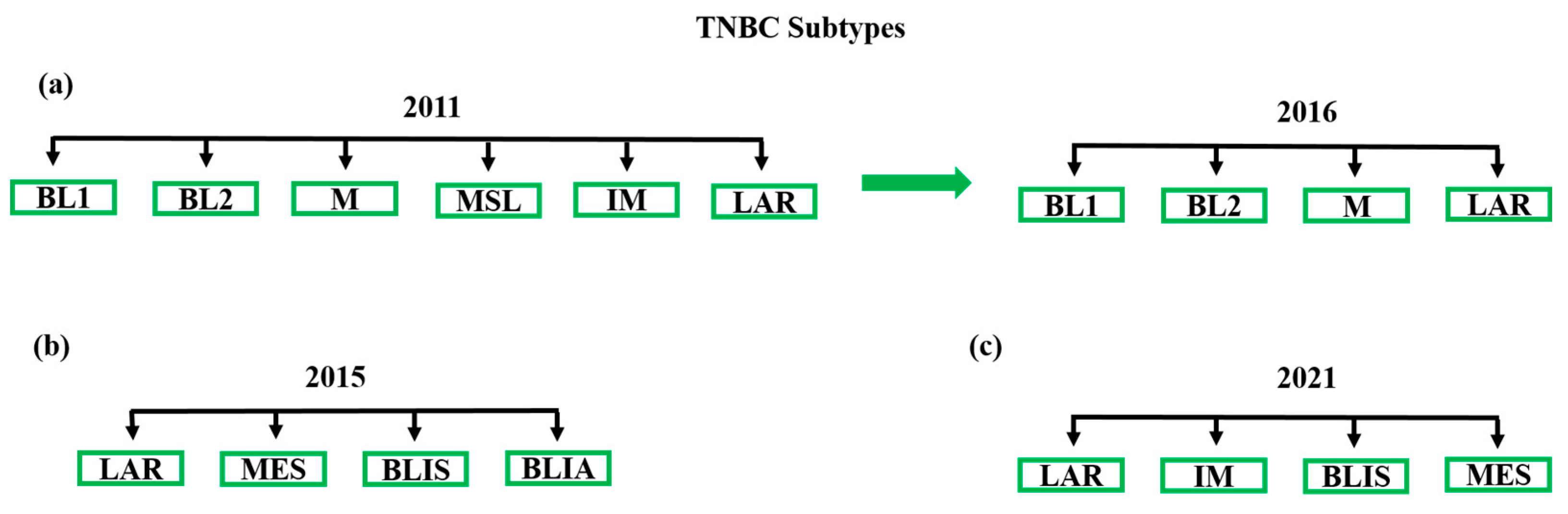 Cancers 13 03739 g001