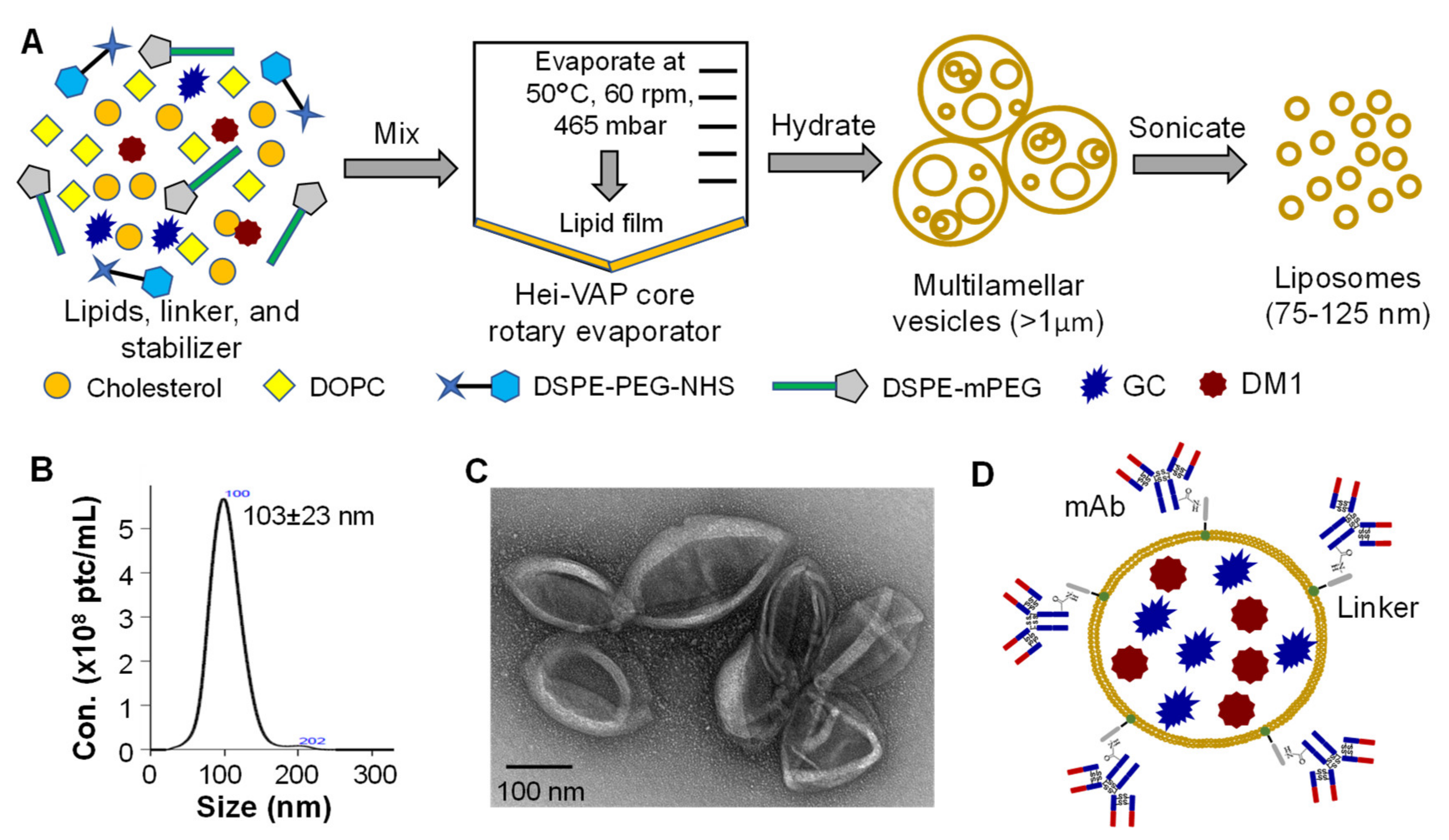 Cancers 13 03749 g001