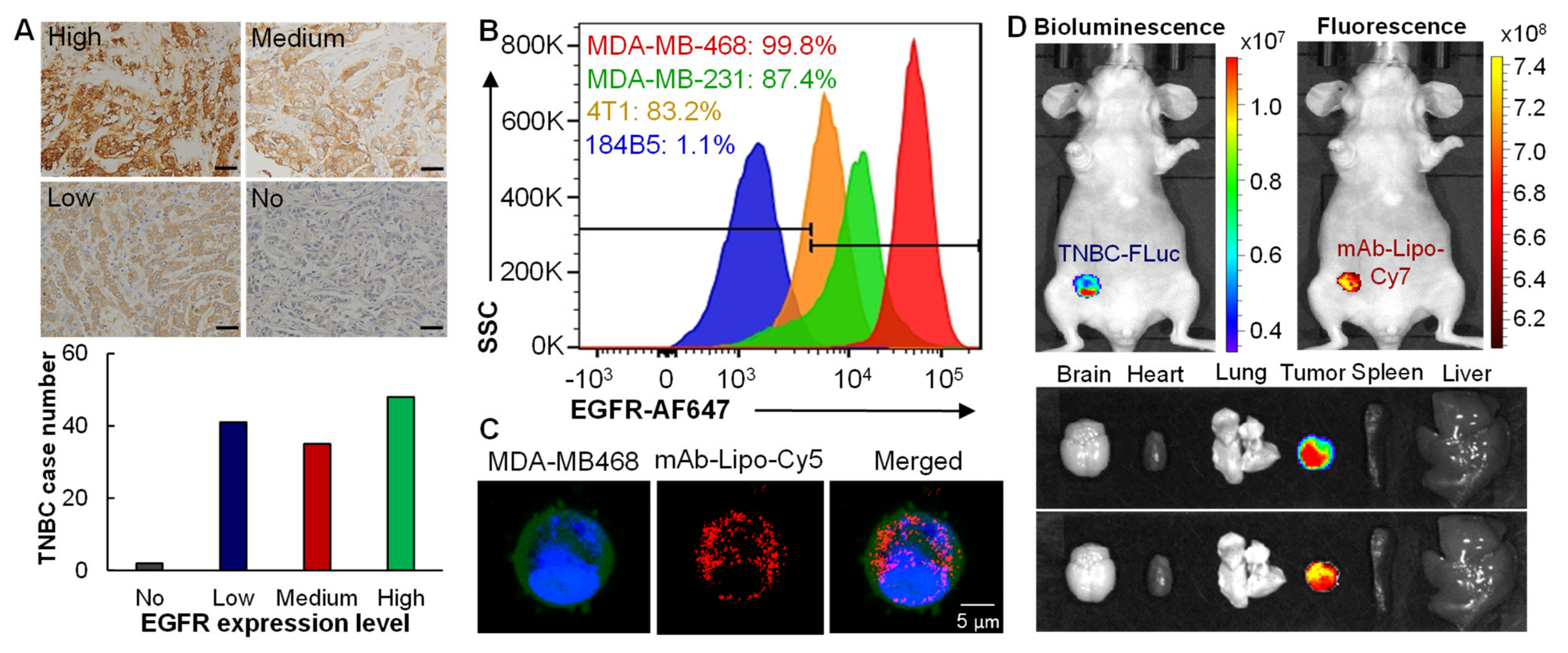 Cancers 13 03749 g003