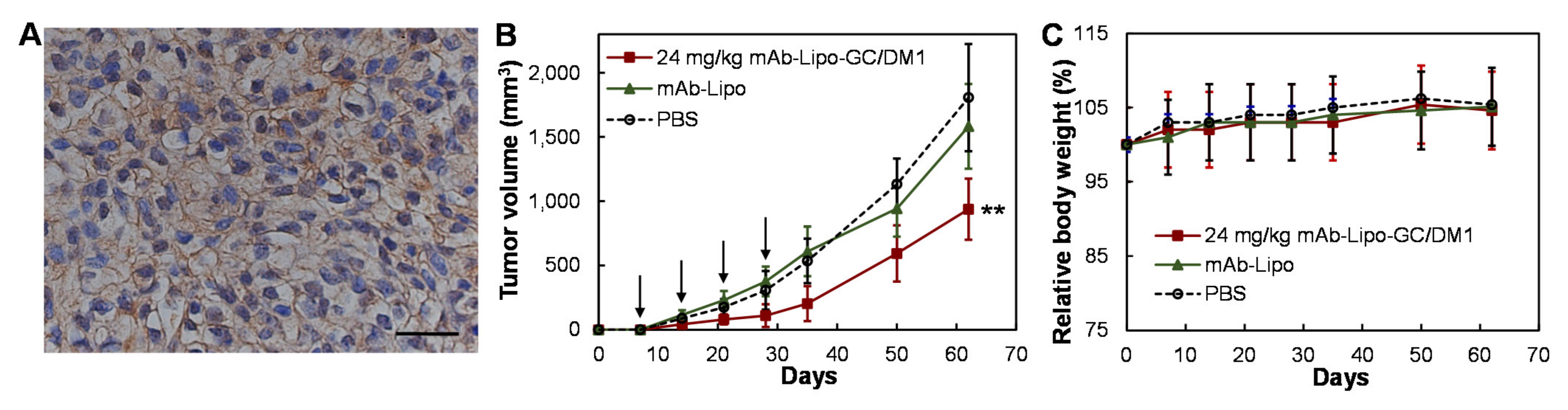 Cancers 13 03749 g006