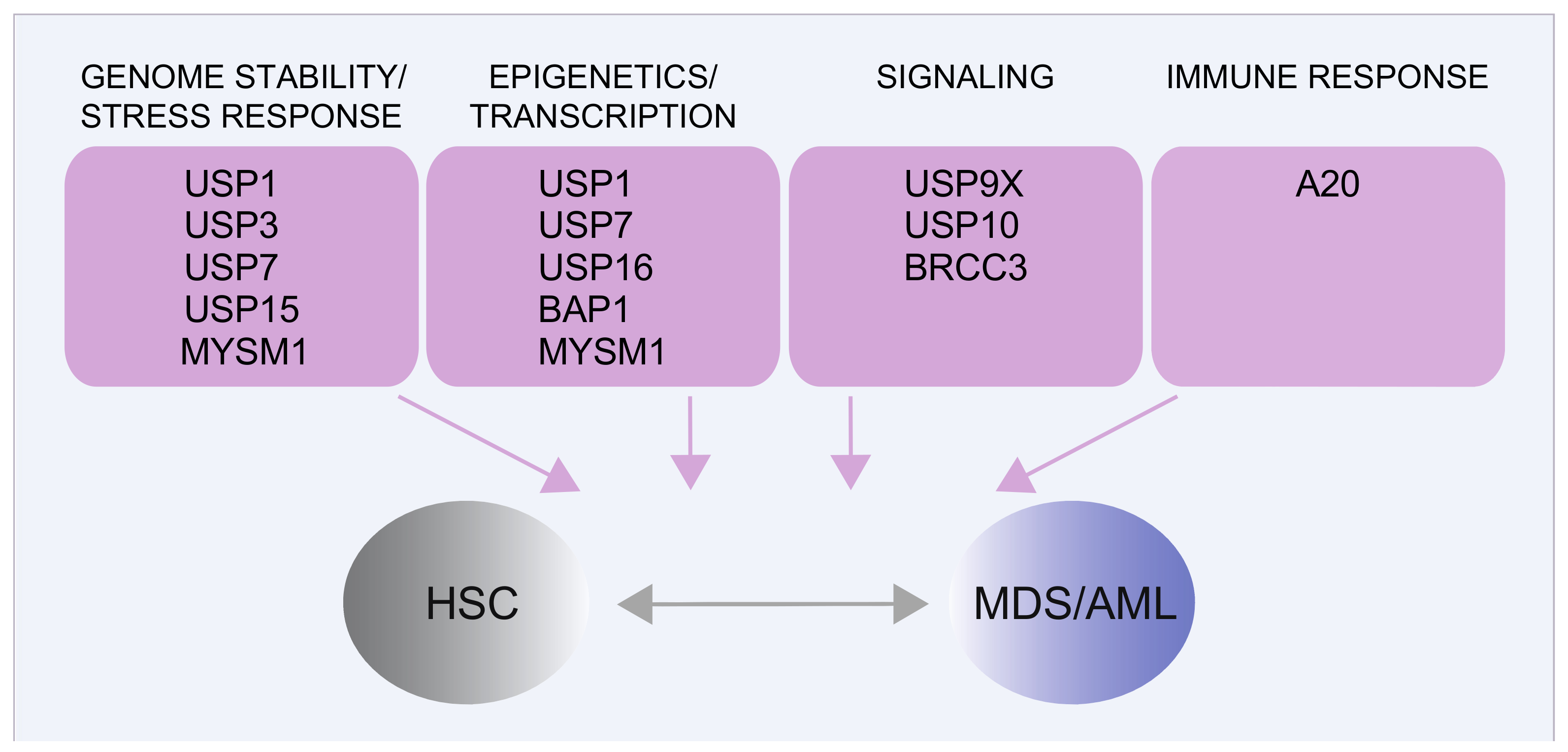 Cancers 13 03753 g004 Cancers 13 03753 g004