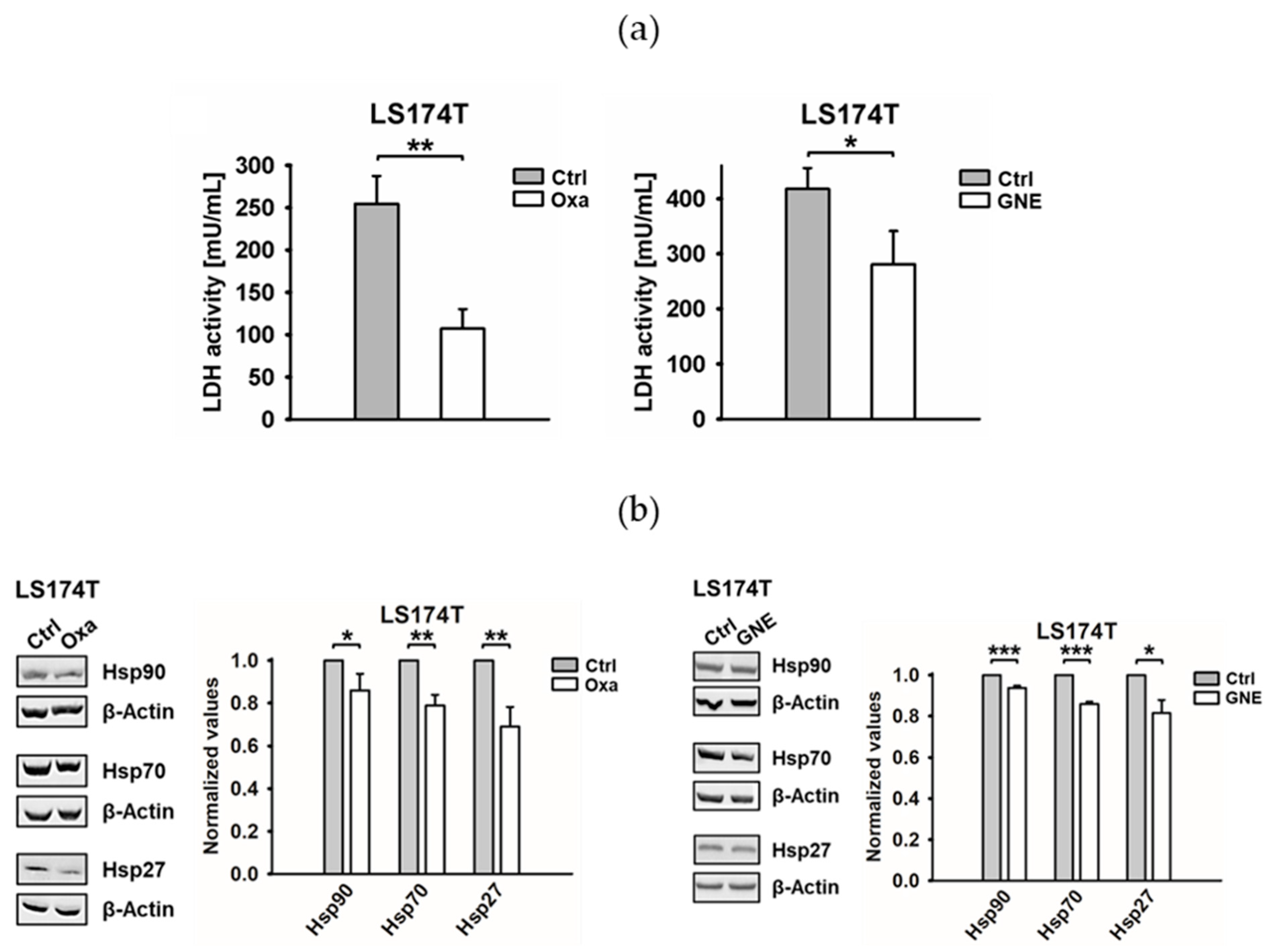 Cancers 13 03762 g001