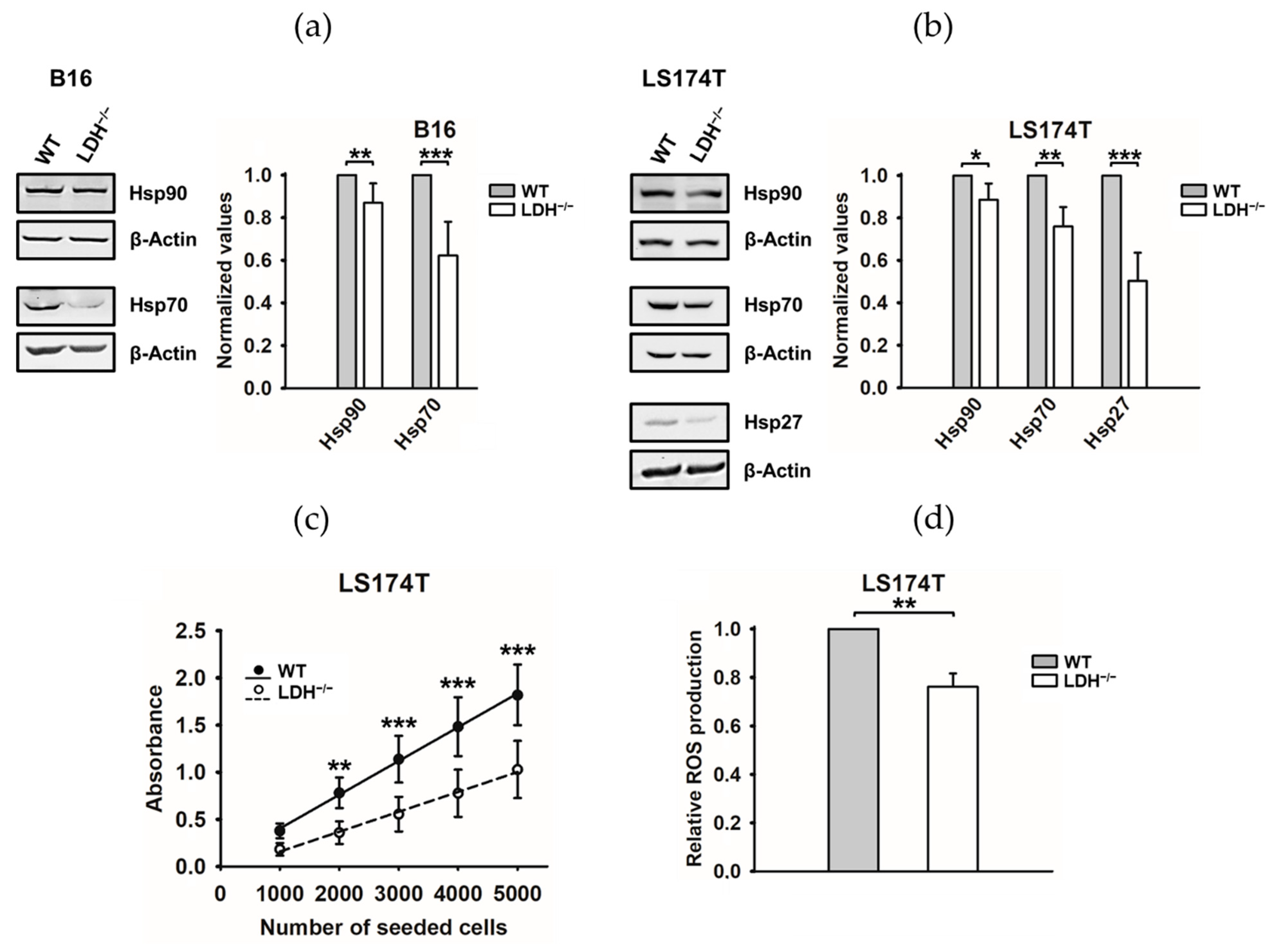 Cancers 13 03762 g003