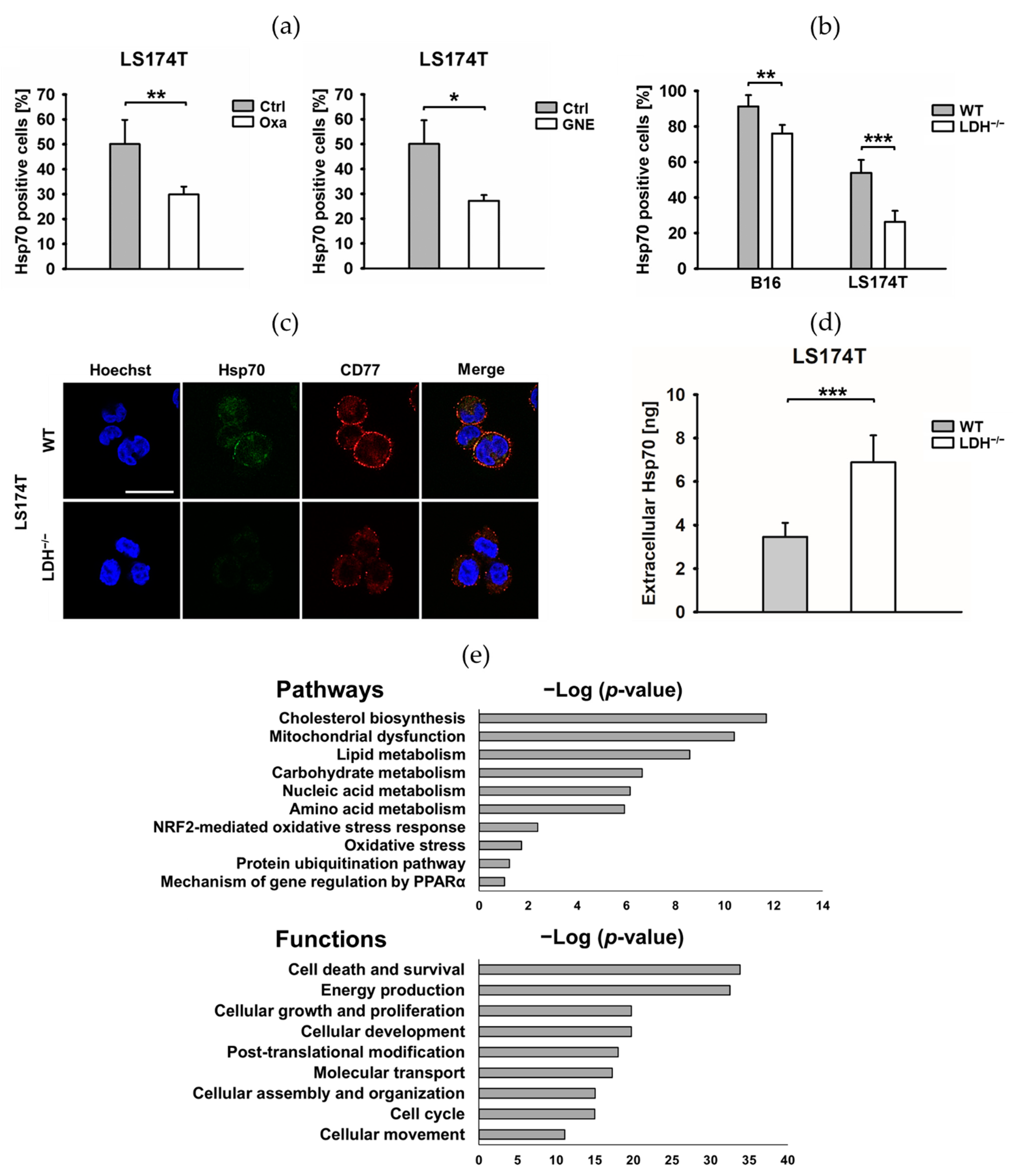 Cancers 13 03762 g004
