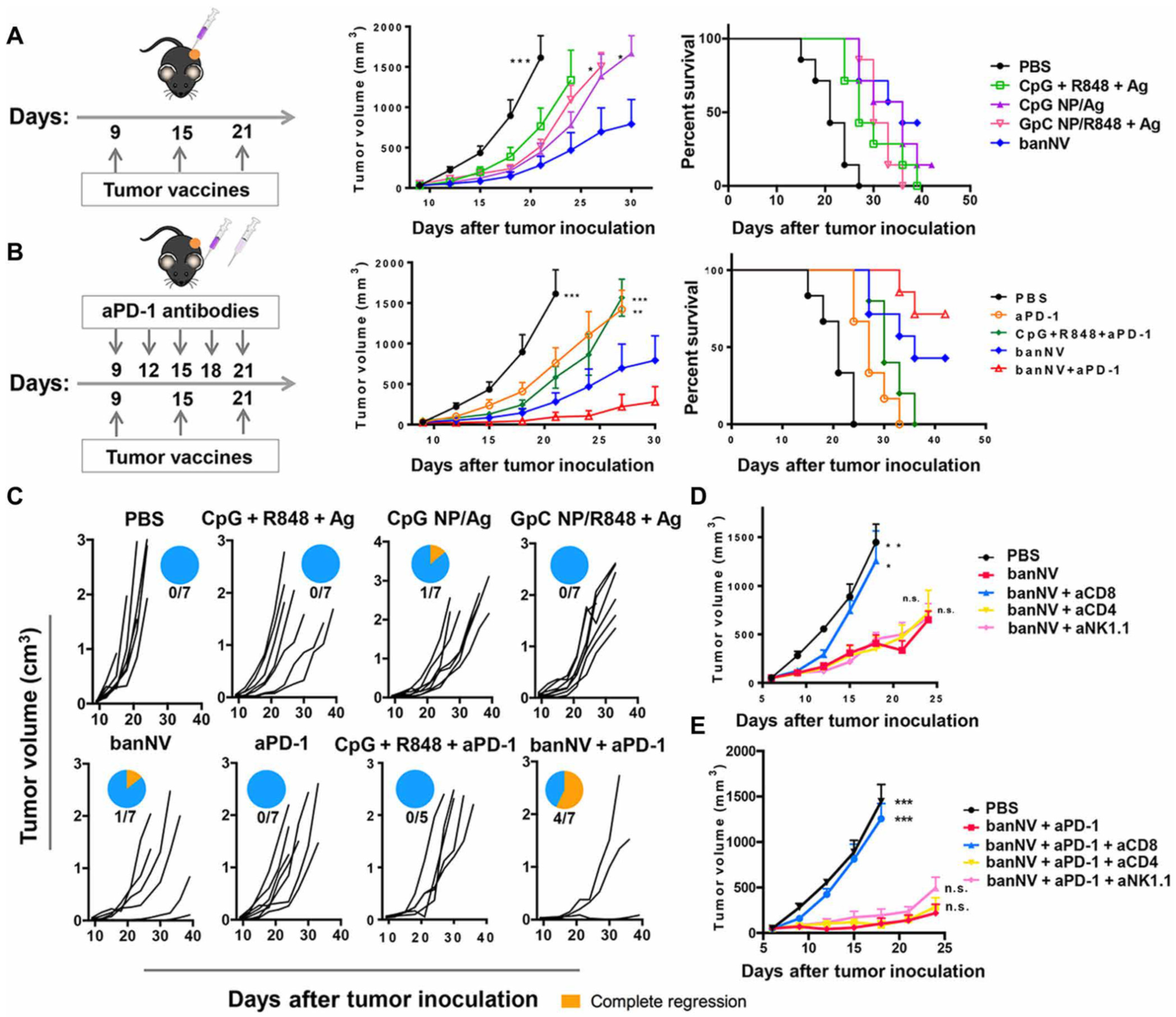 Cancers 13 03765 g003