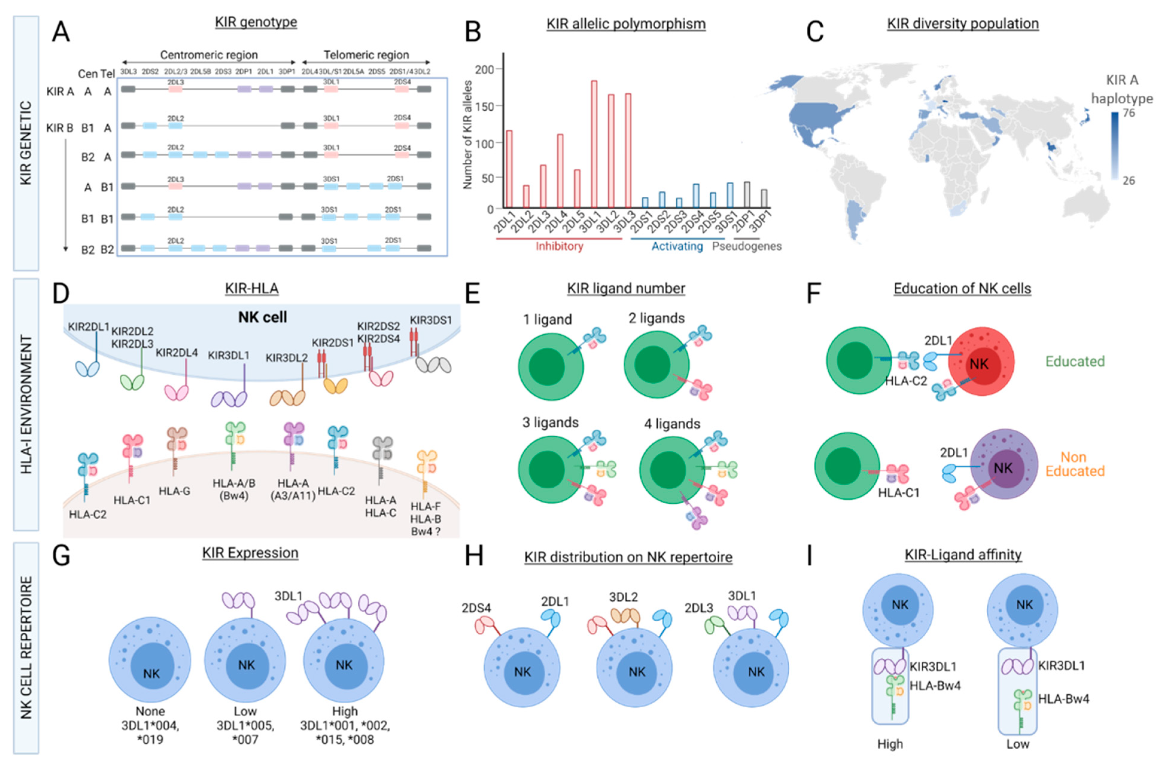 Cancers 13 03767 g002 Cancers 13 03767 g002