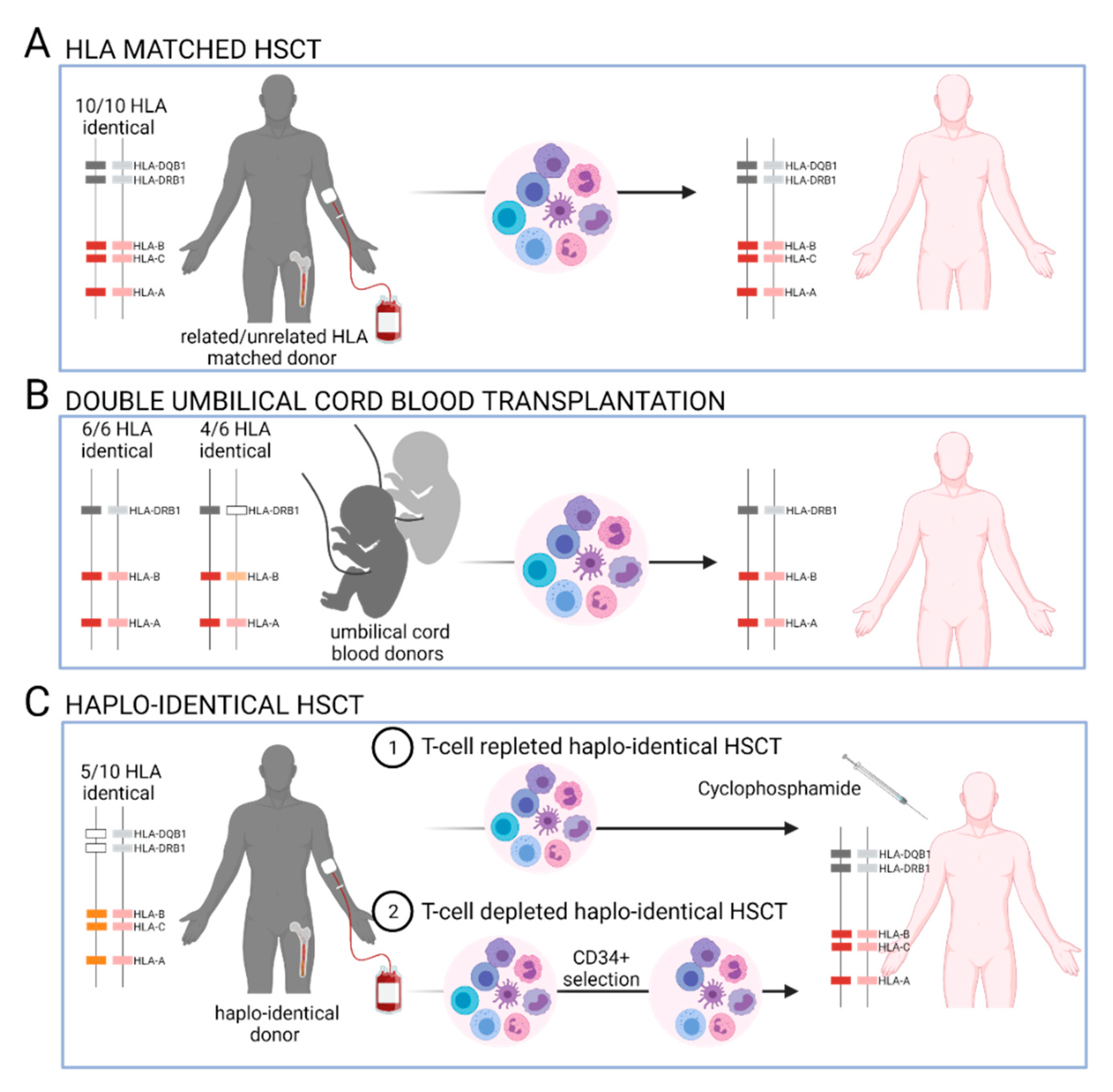 Cancers 13 03767 g003 Cancers 13 03767 g003
