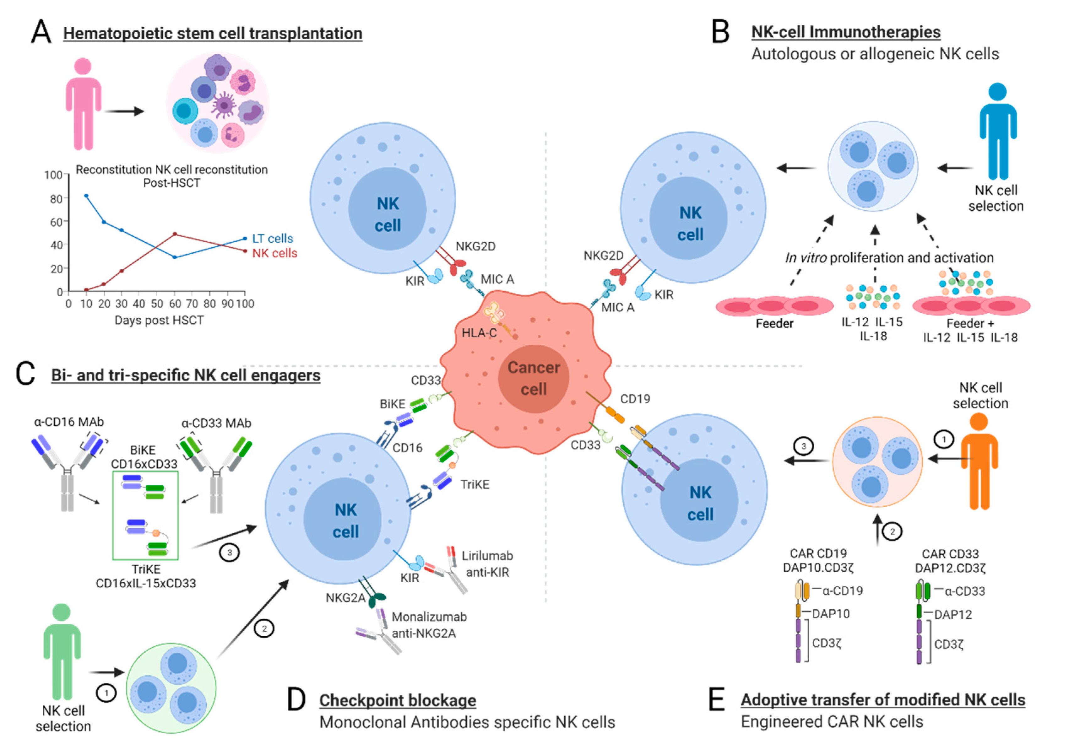 Cancers 13 03767 g005 Cancers 13 03767 g005