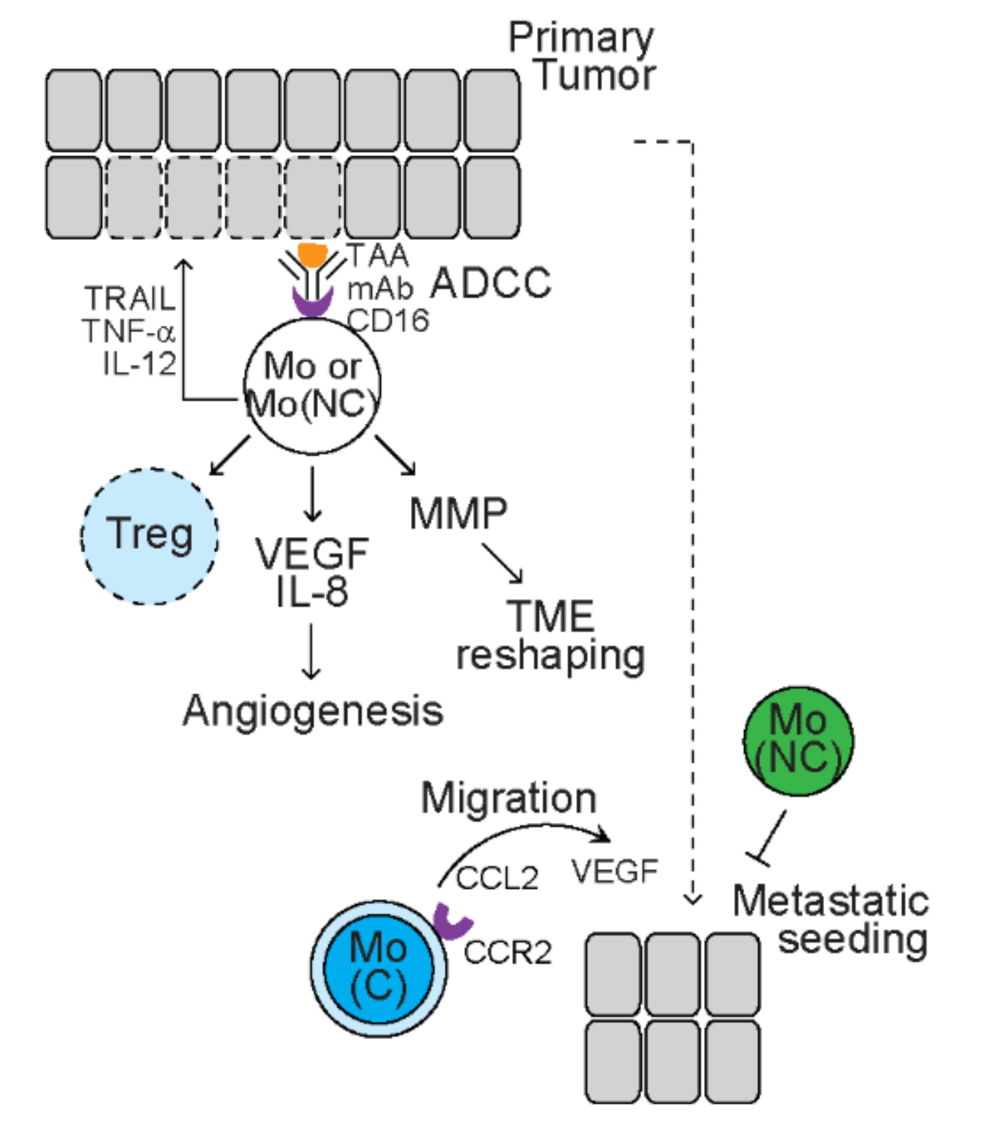 Cancers 13 03772 g001