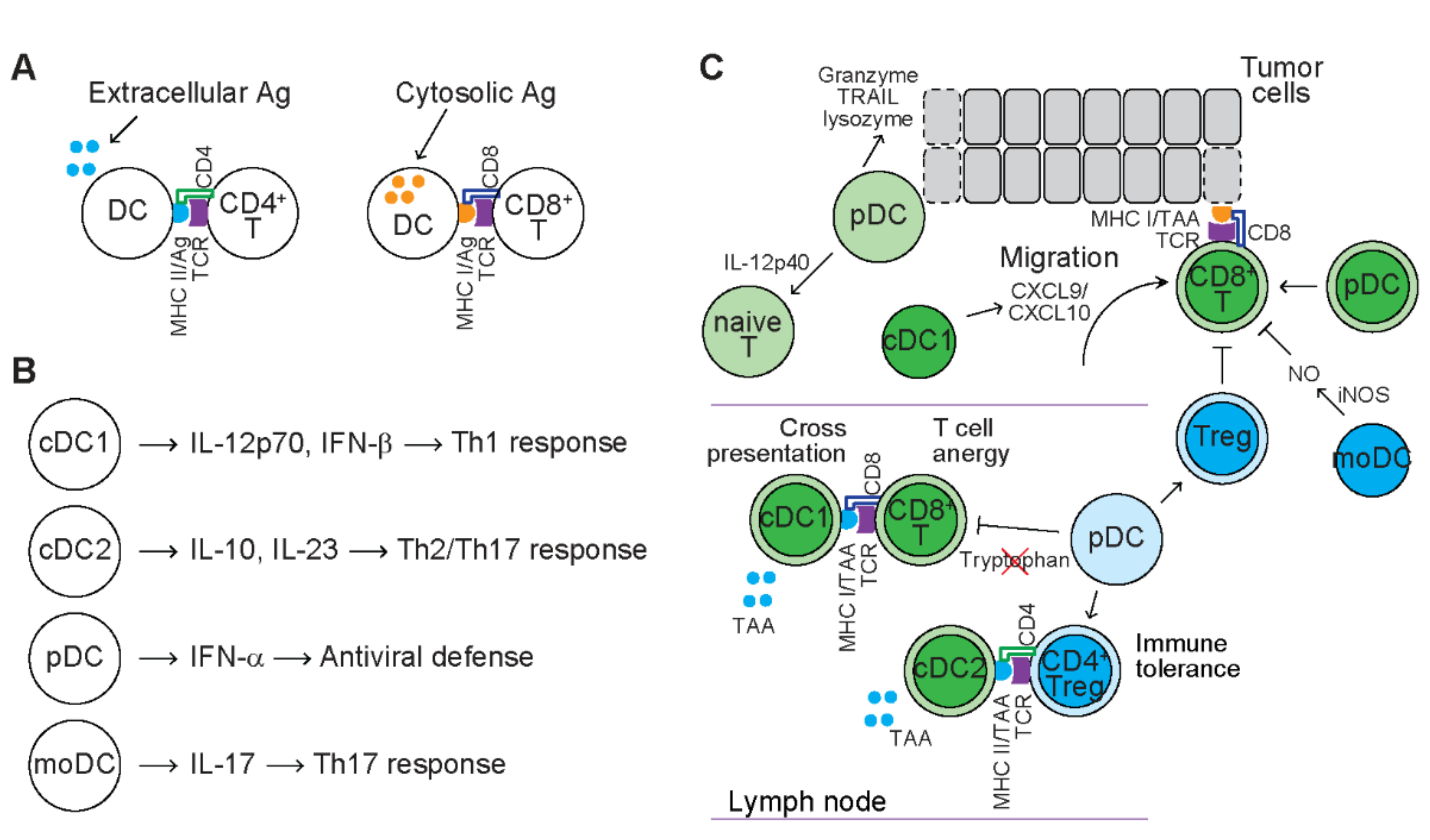 Cancers 13 03772 g003