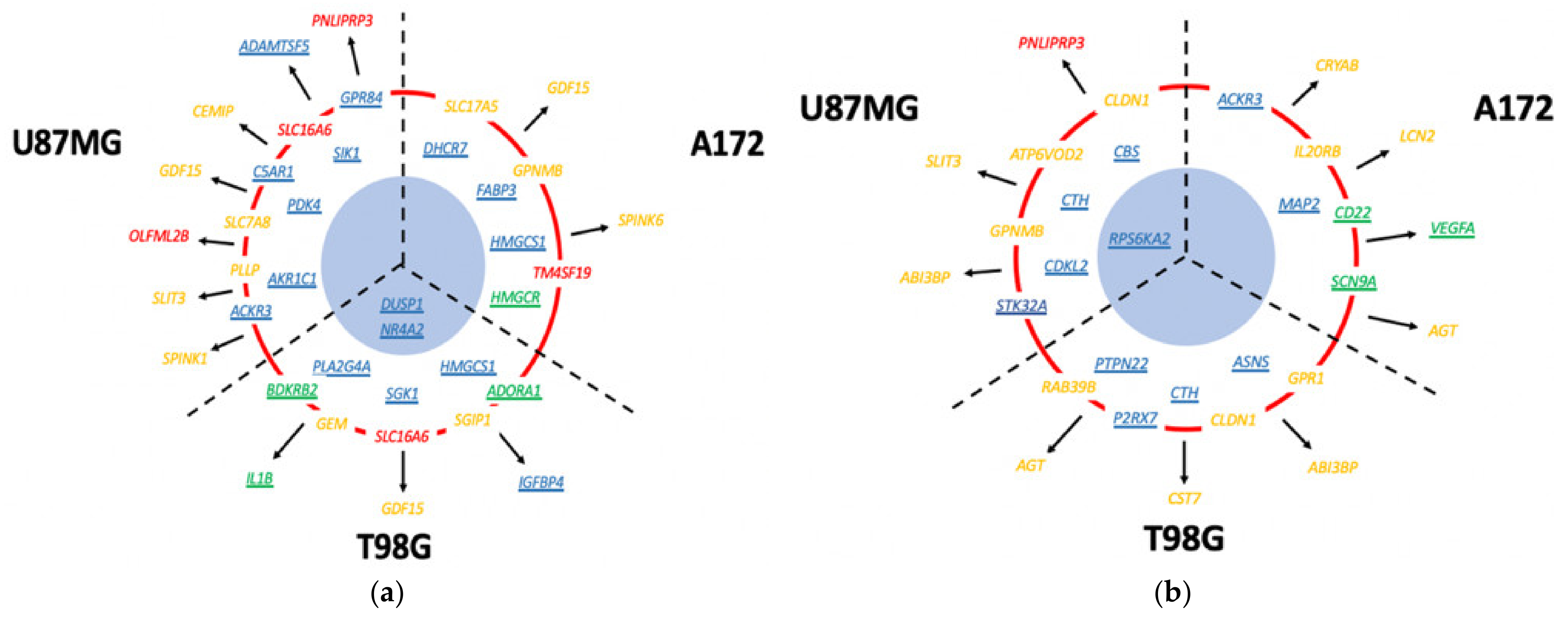 Cancers 13 03780 g006