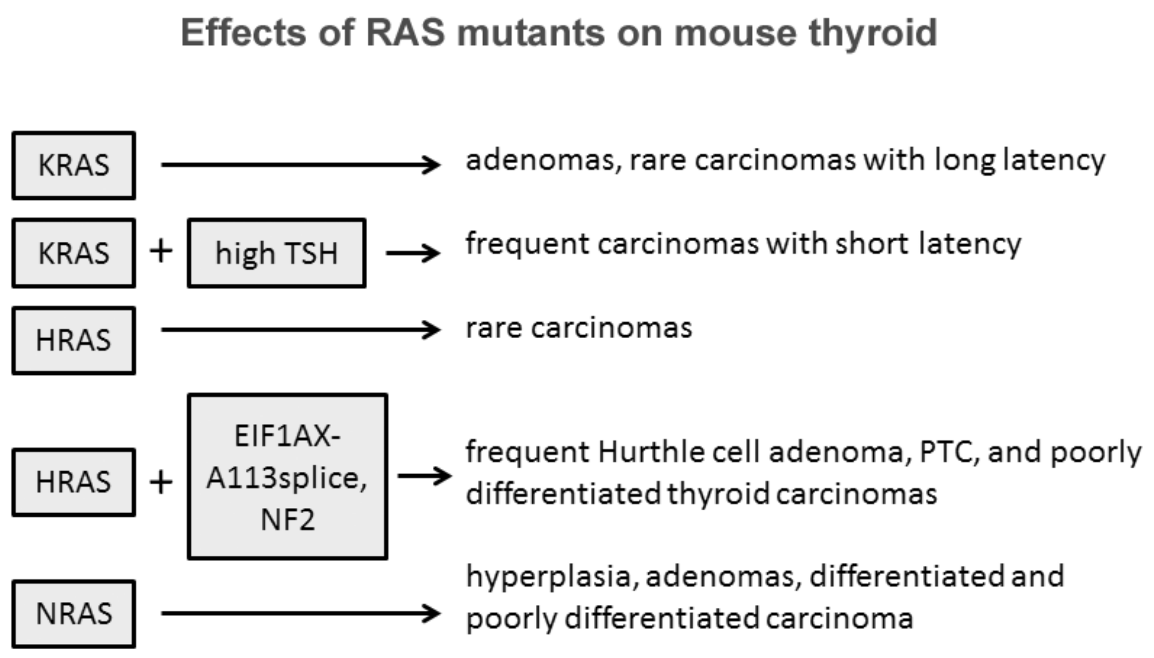 Cancers 13 03785 g001
