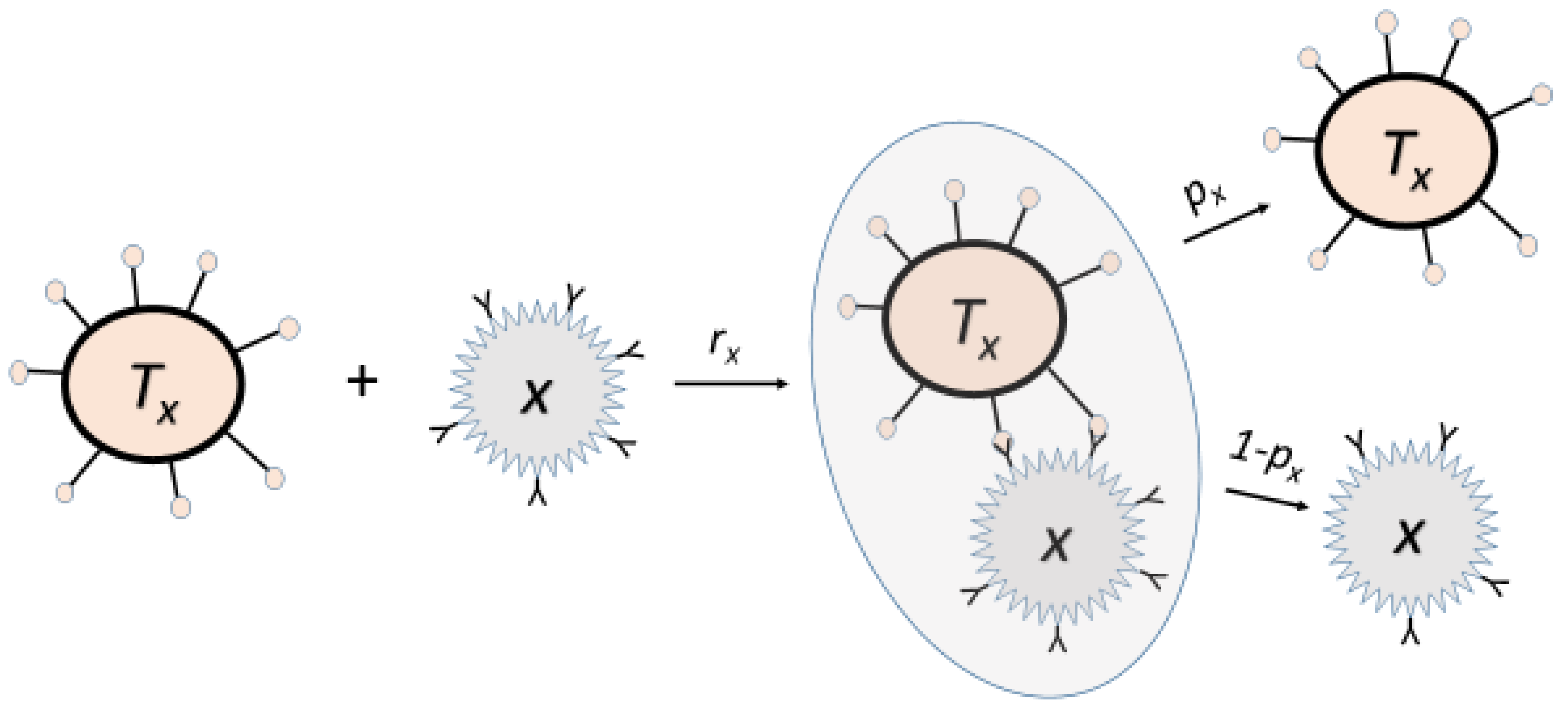 Cancers 13 03789 g001