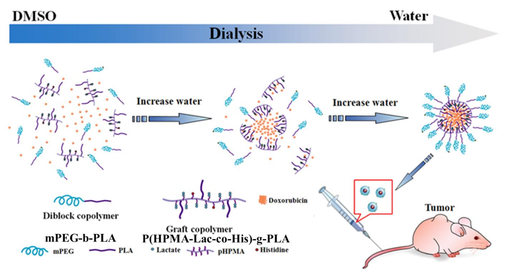Cancers 13 03816 sch001