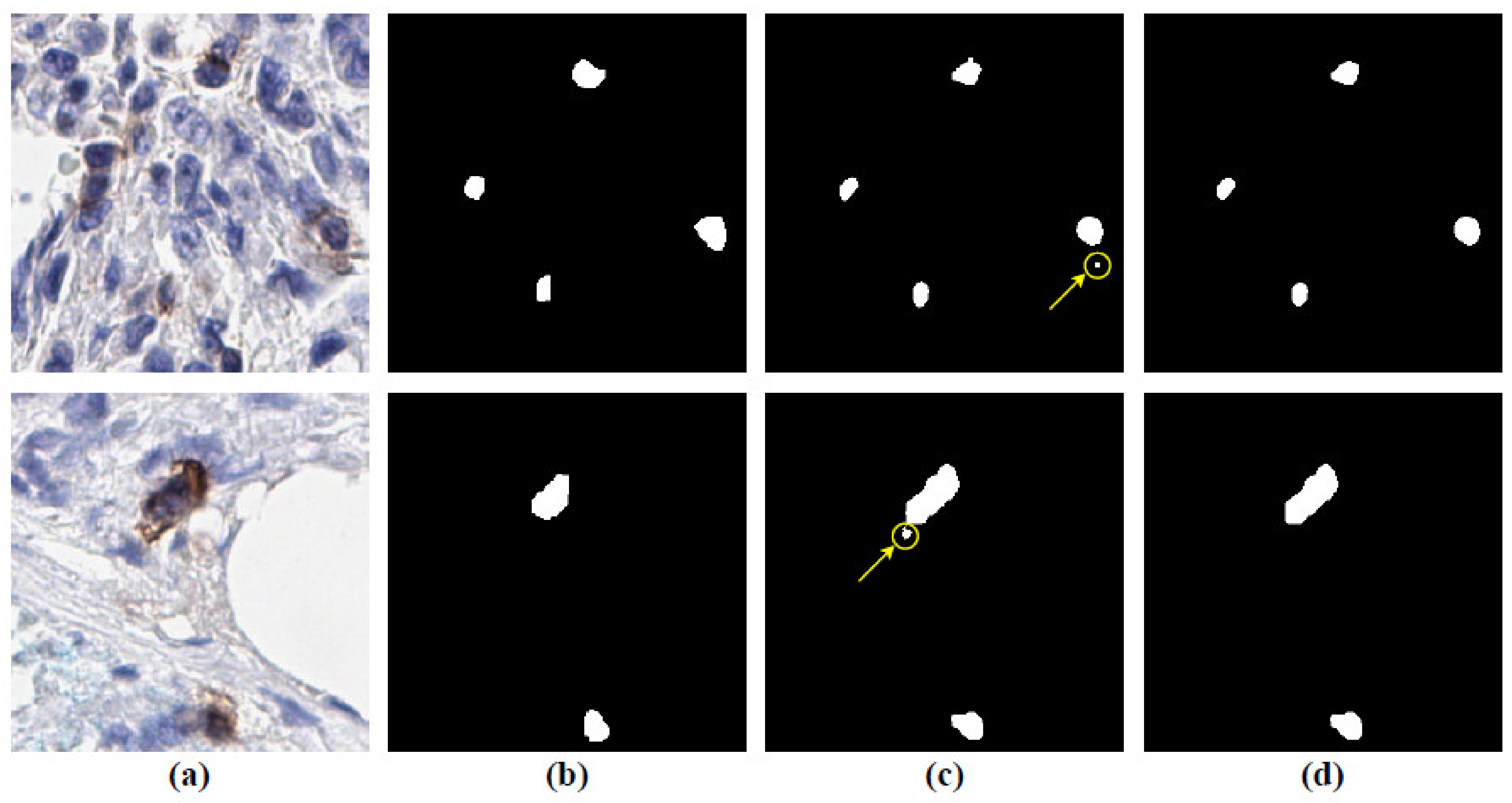 Cancers 13 03825 g010