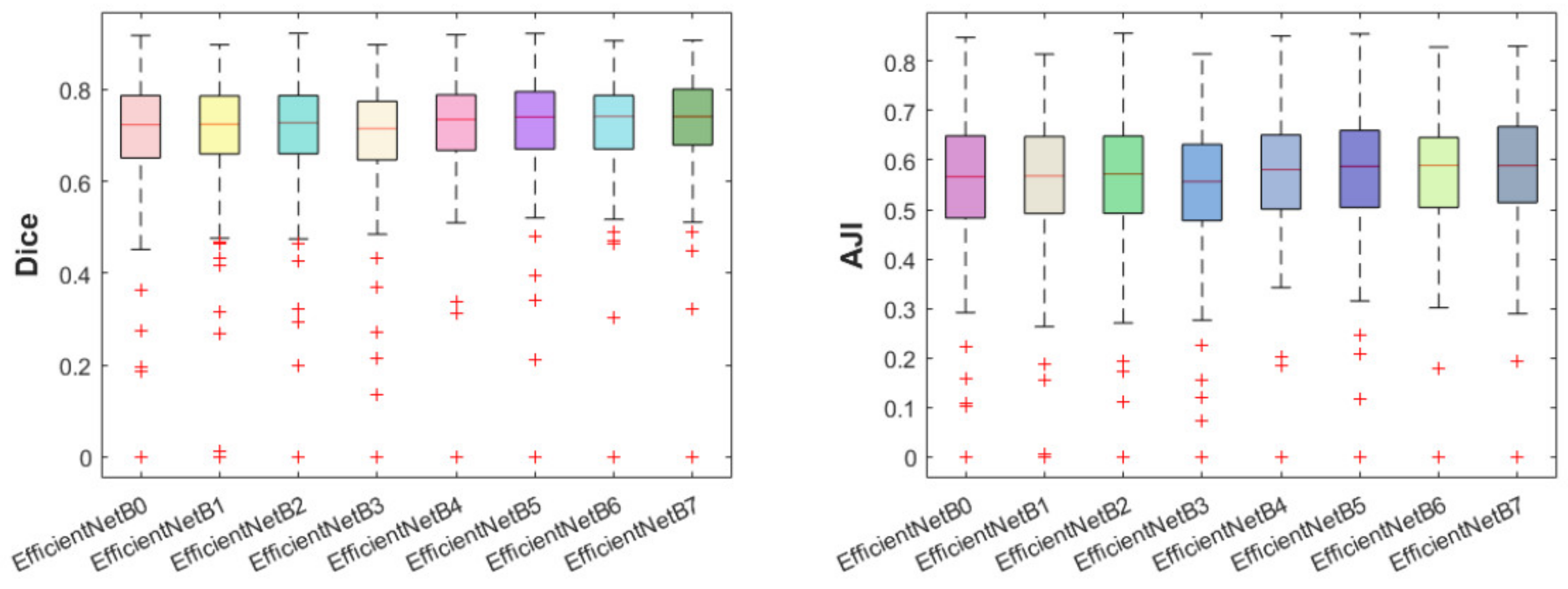 Cancers 13 03825 g0a2