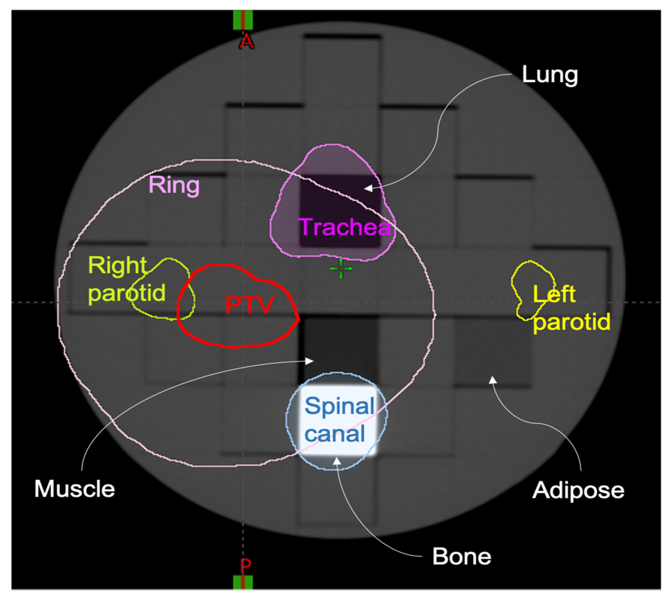 Cancers 13 03835 g001