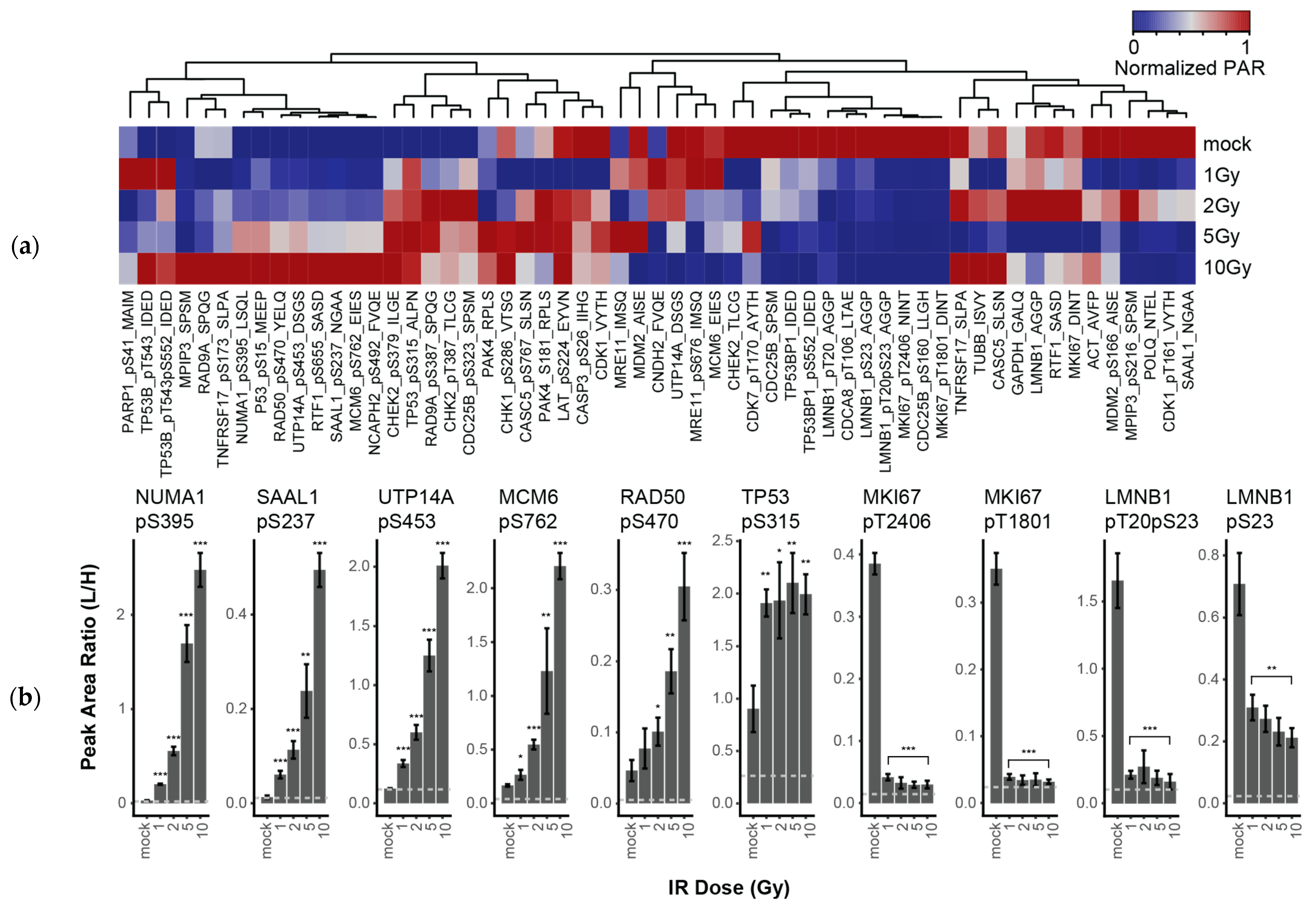 Cancers 13 03843 g002