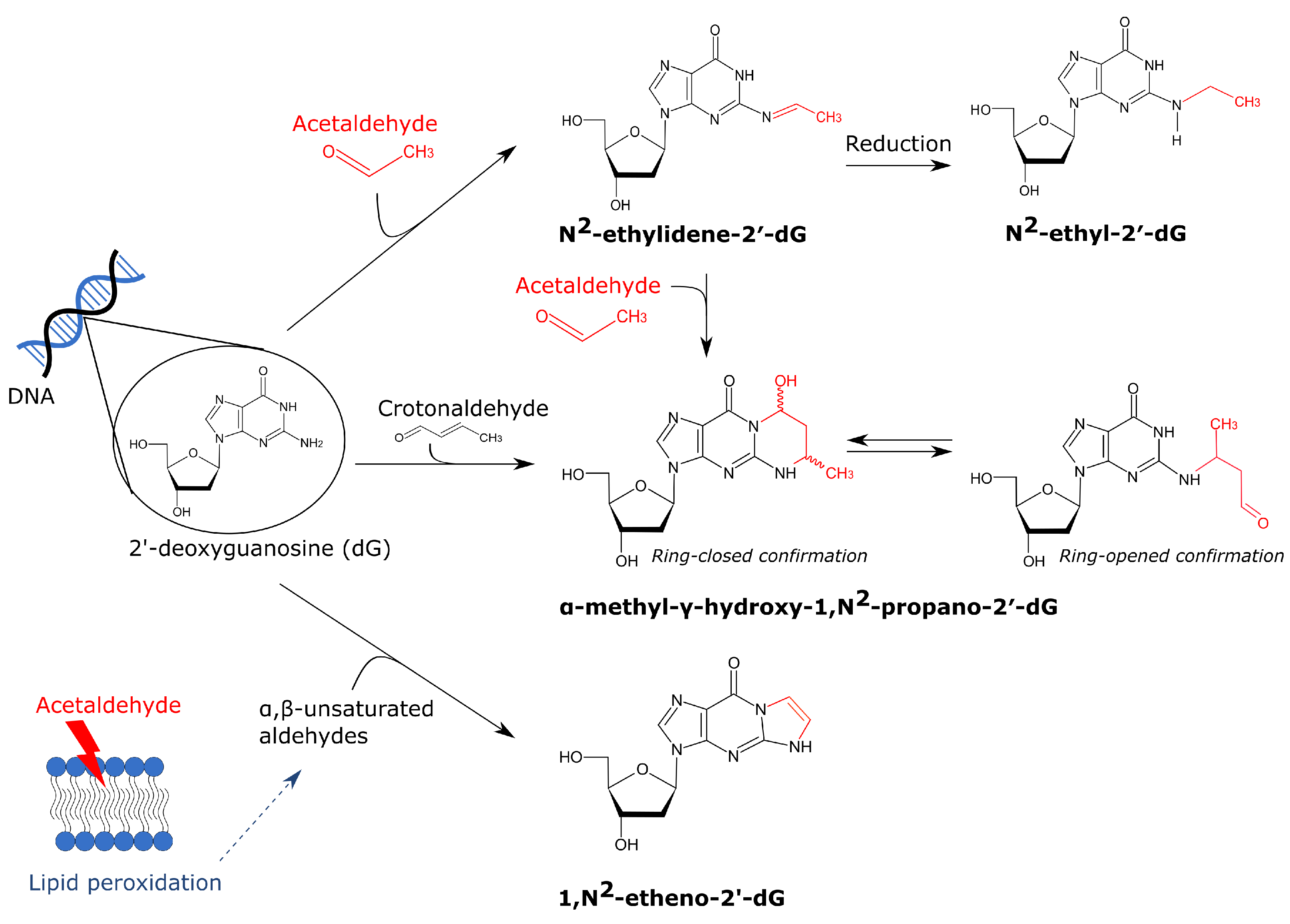 Cancers 13 03846 g002 Cancers 13 03846 g002