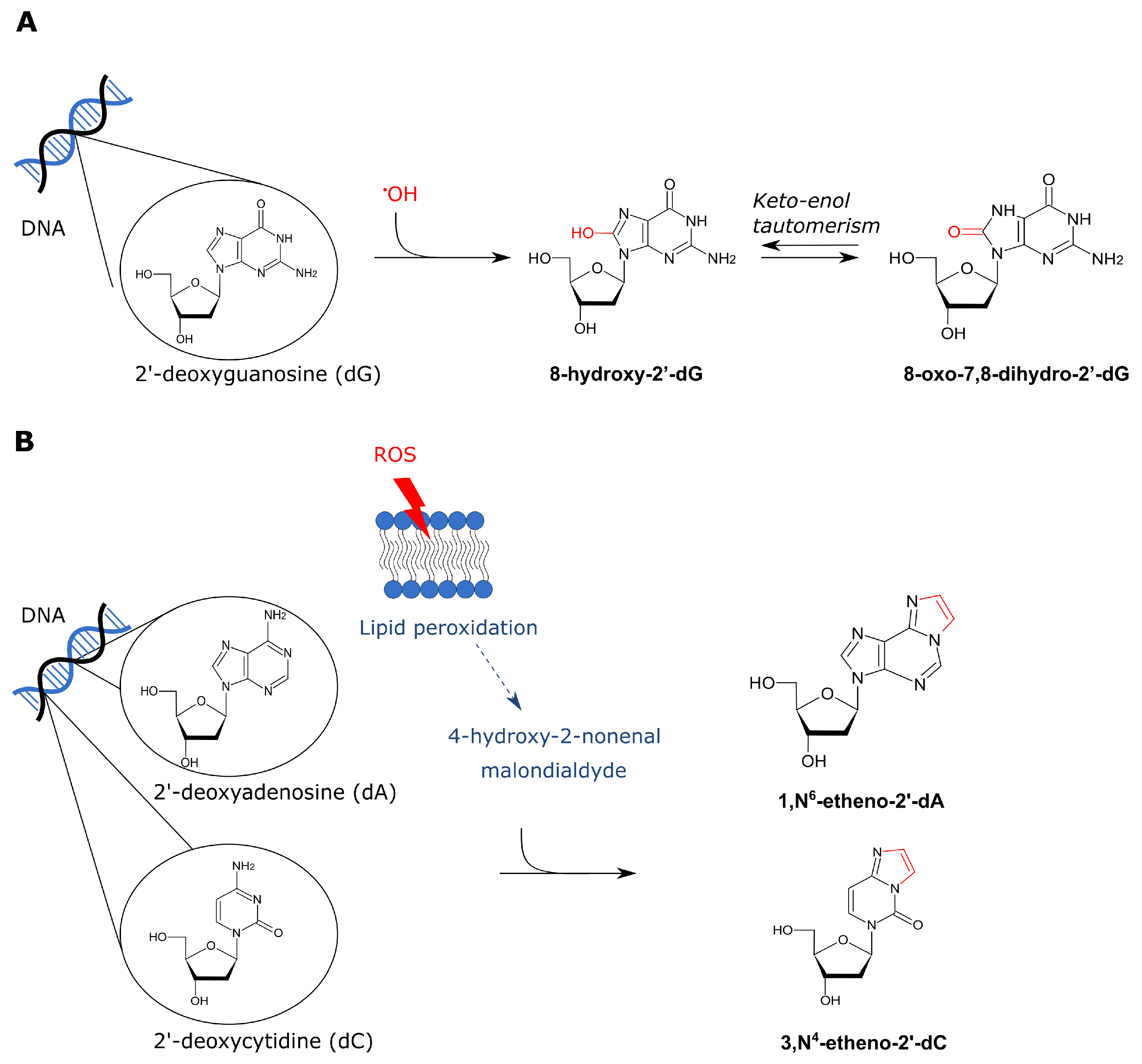 Cancers 13 03846 g003 Cancers 13 03846 g003