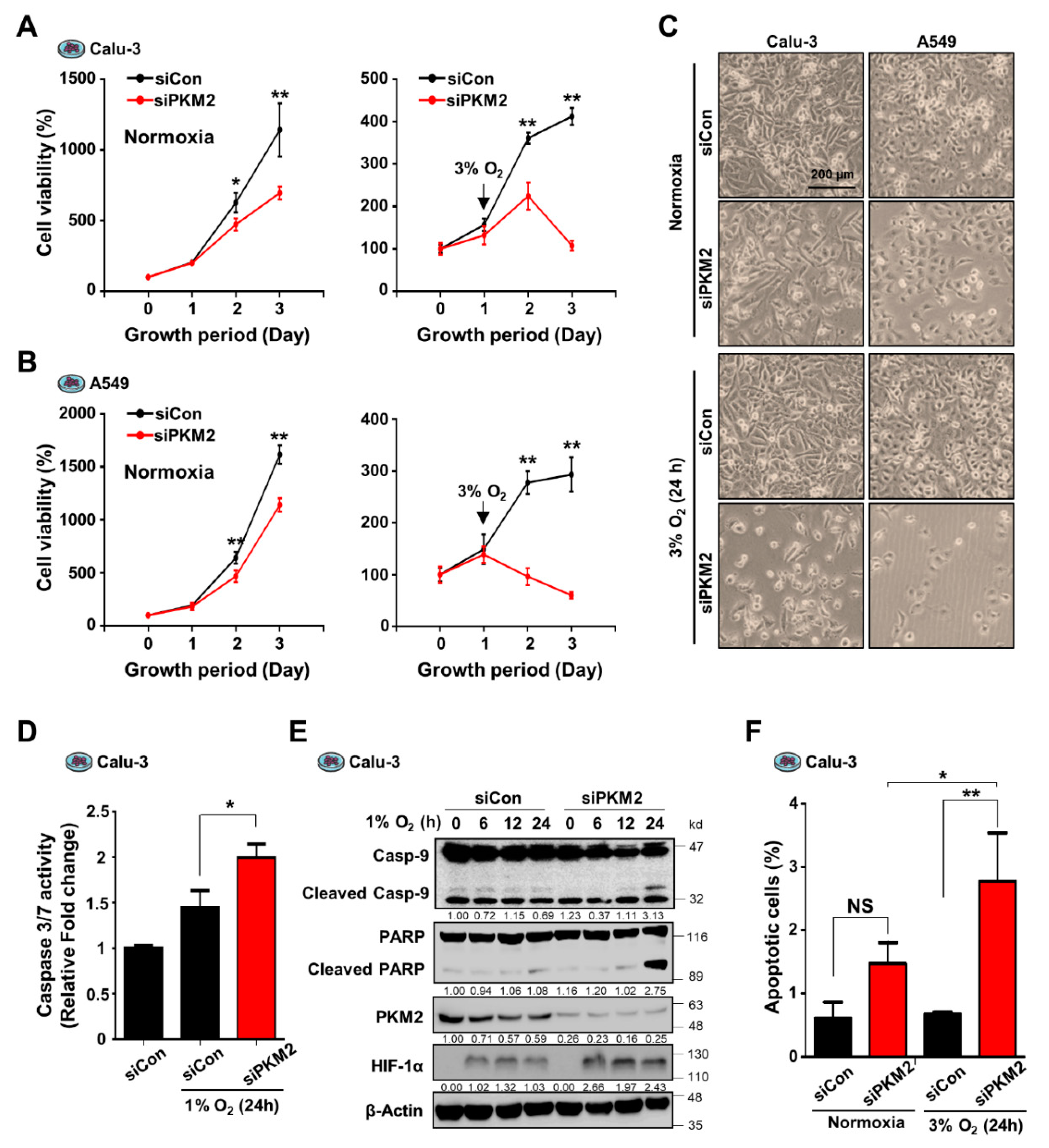 Cancers 13 03850 g001