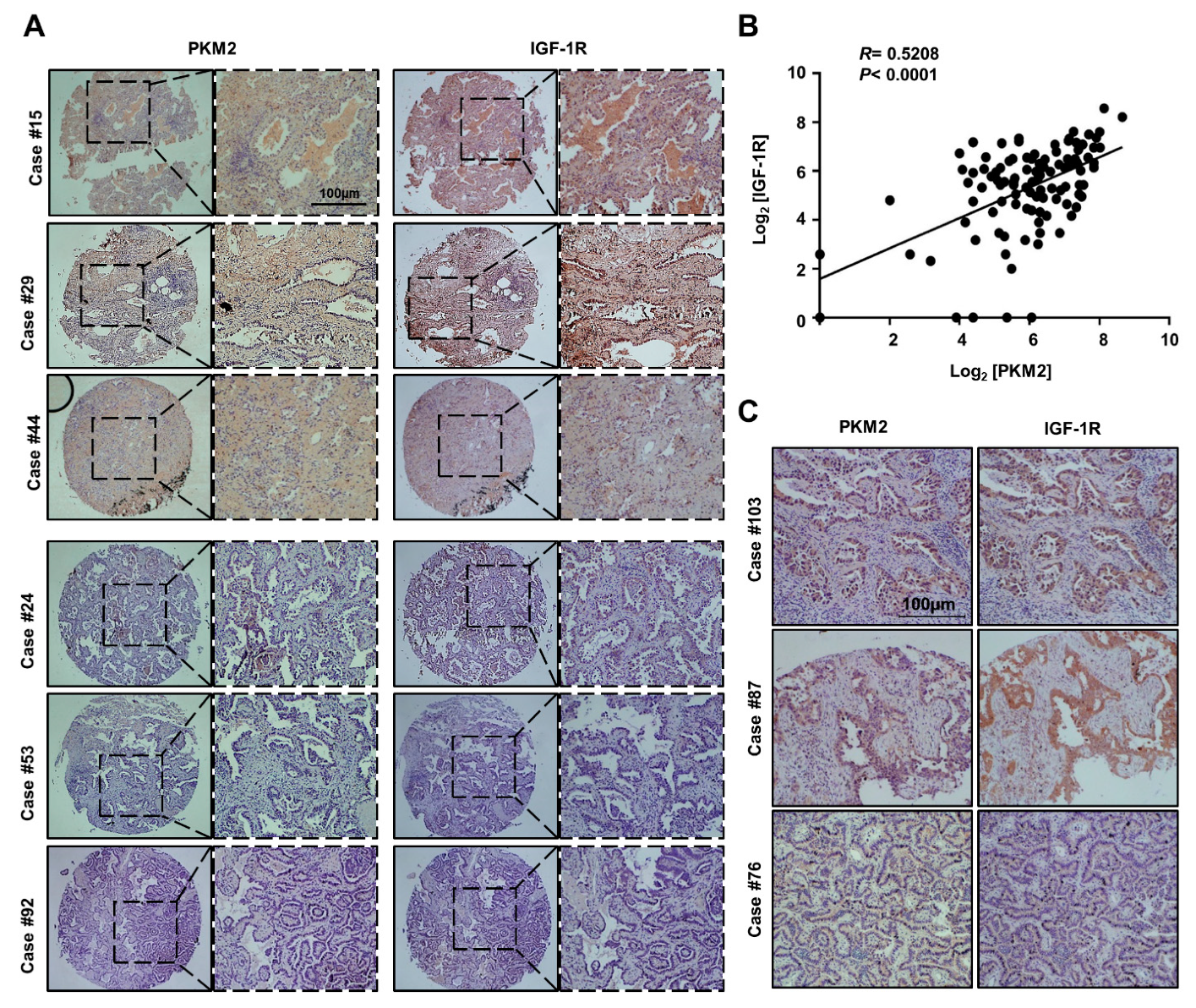 Cancers 13 03850 g005