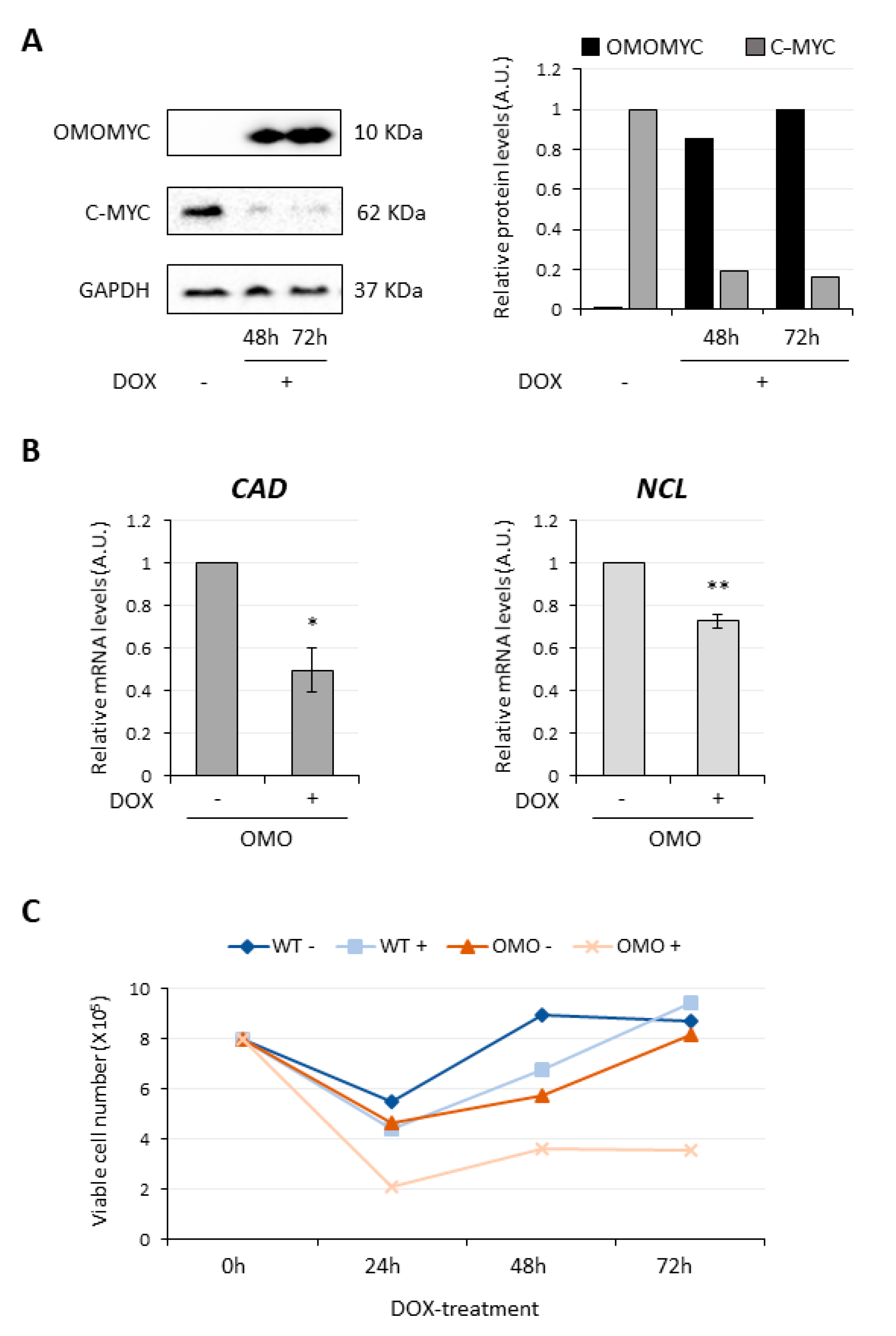 Cancers 13 03853 g001