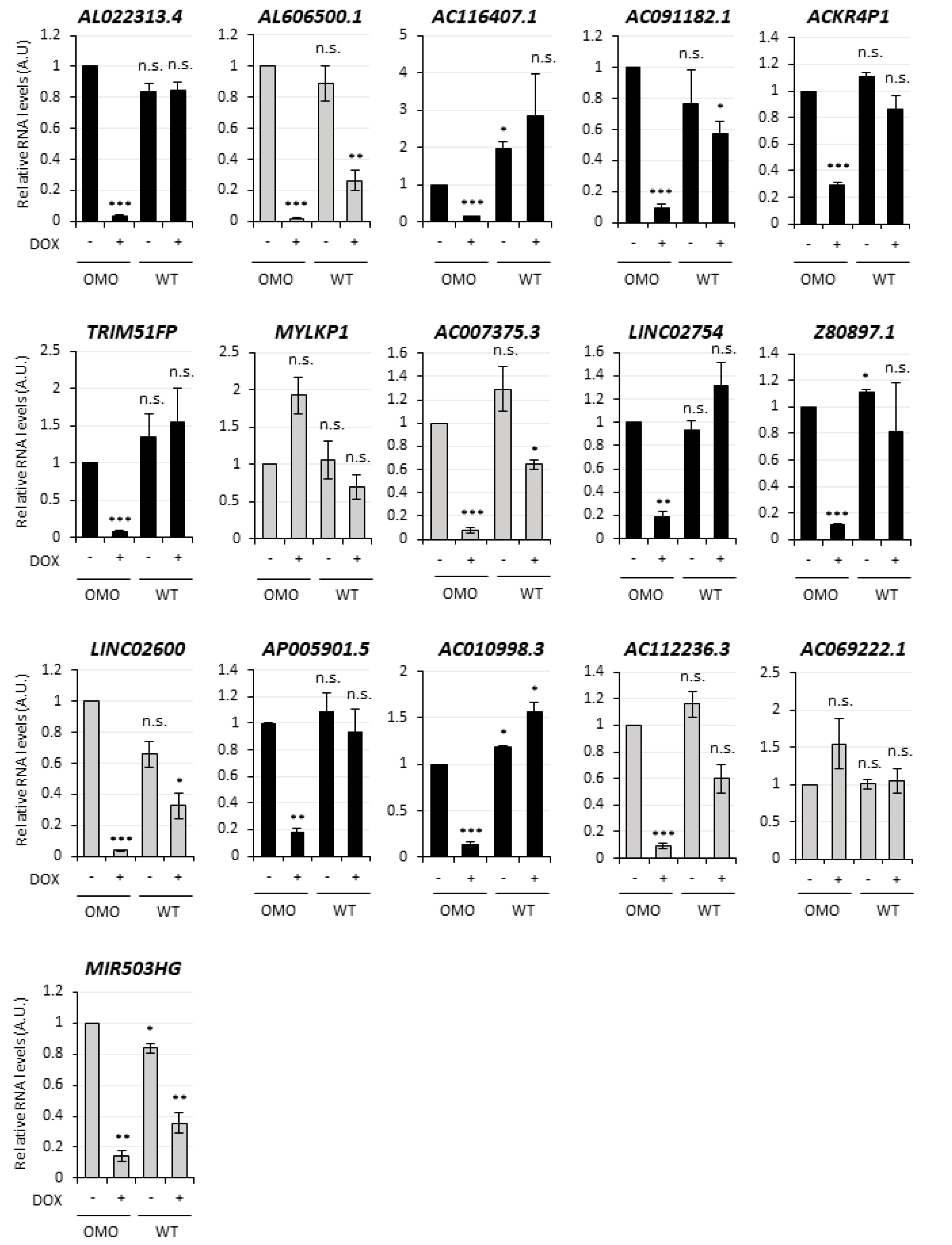 Cancers 13 03853 g003
