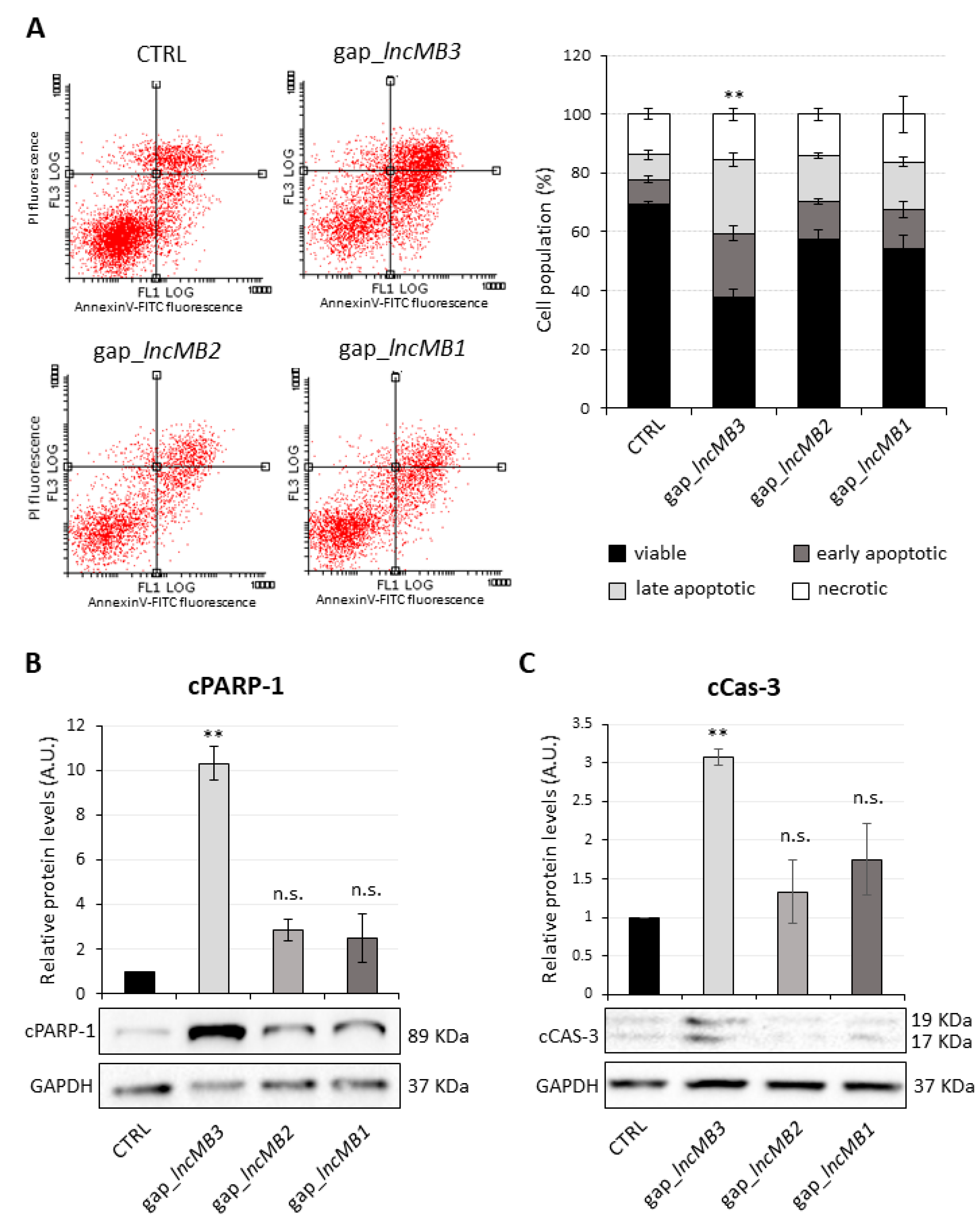 Cancers 13 03853 g010