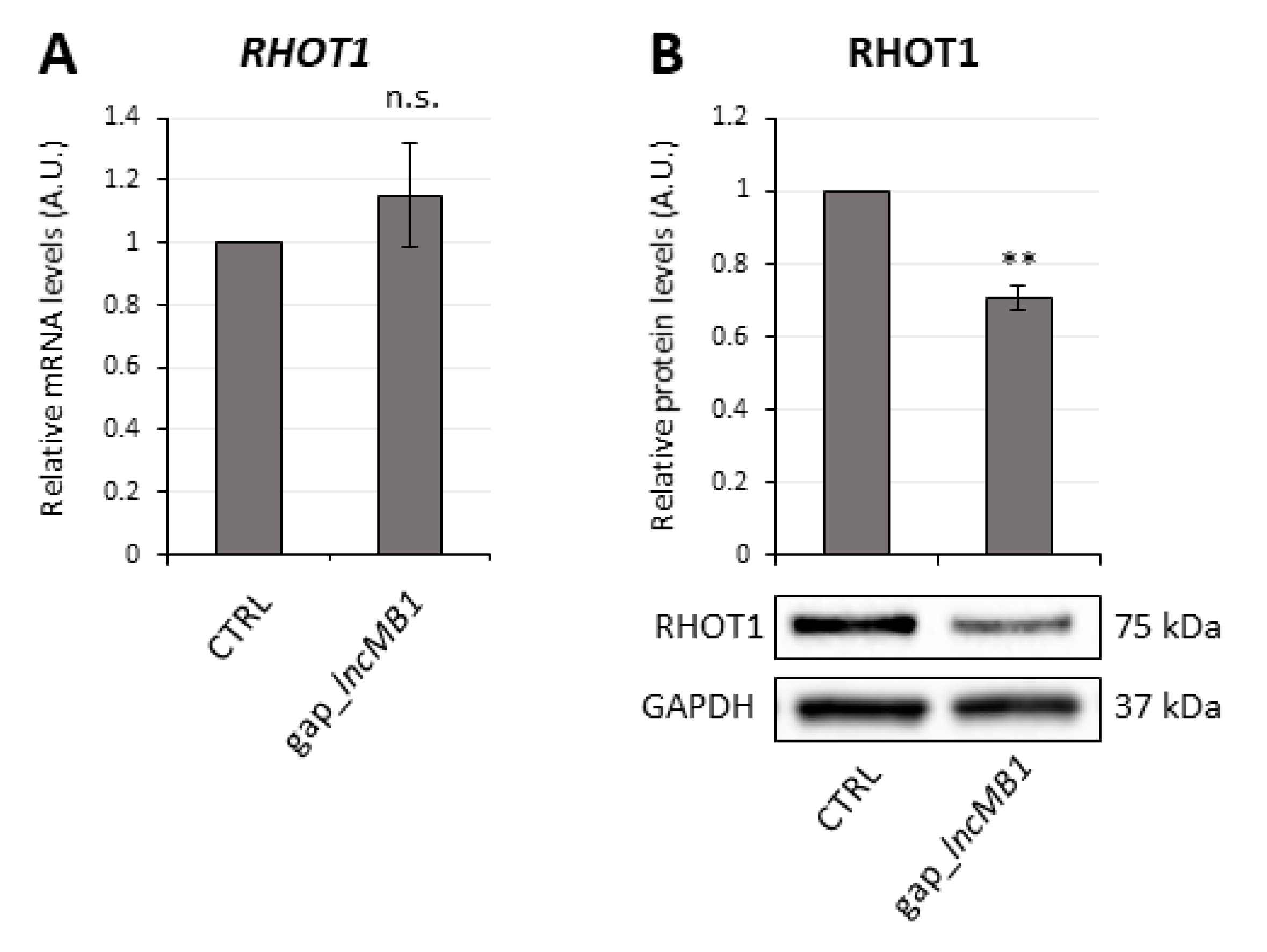 Cancers 13 03853 g012