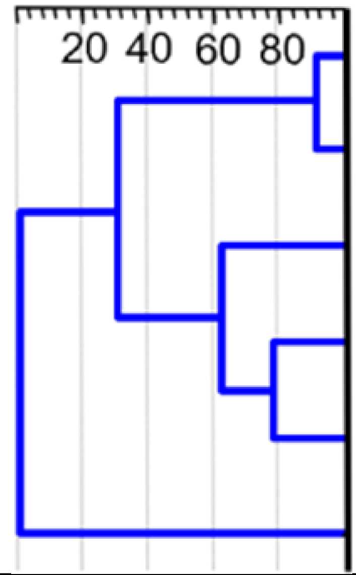 Cancers 13 03855 i001 Cancers 13 03855 i001