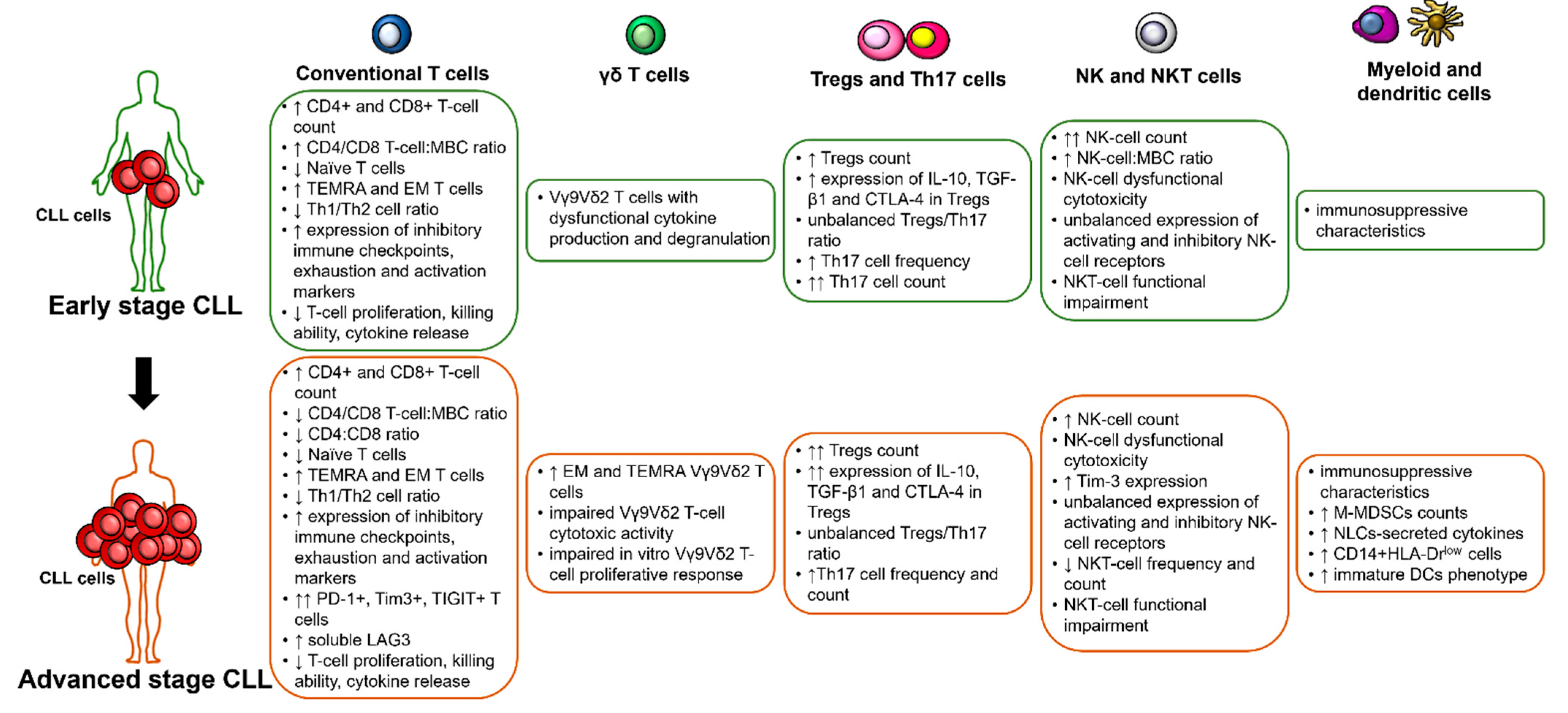 Cancers 13 03856 g001