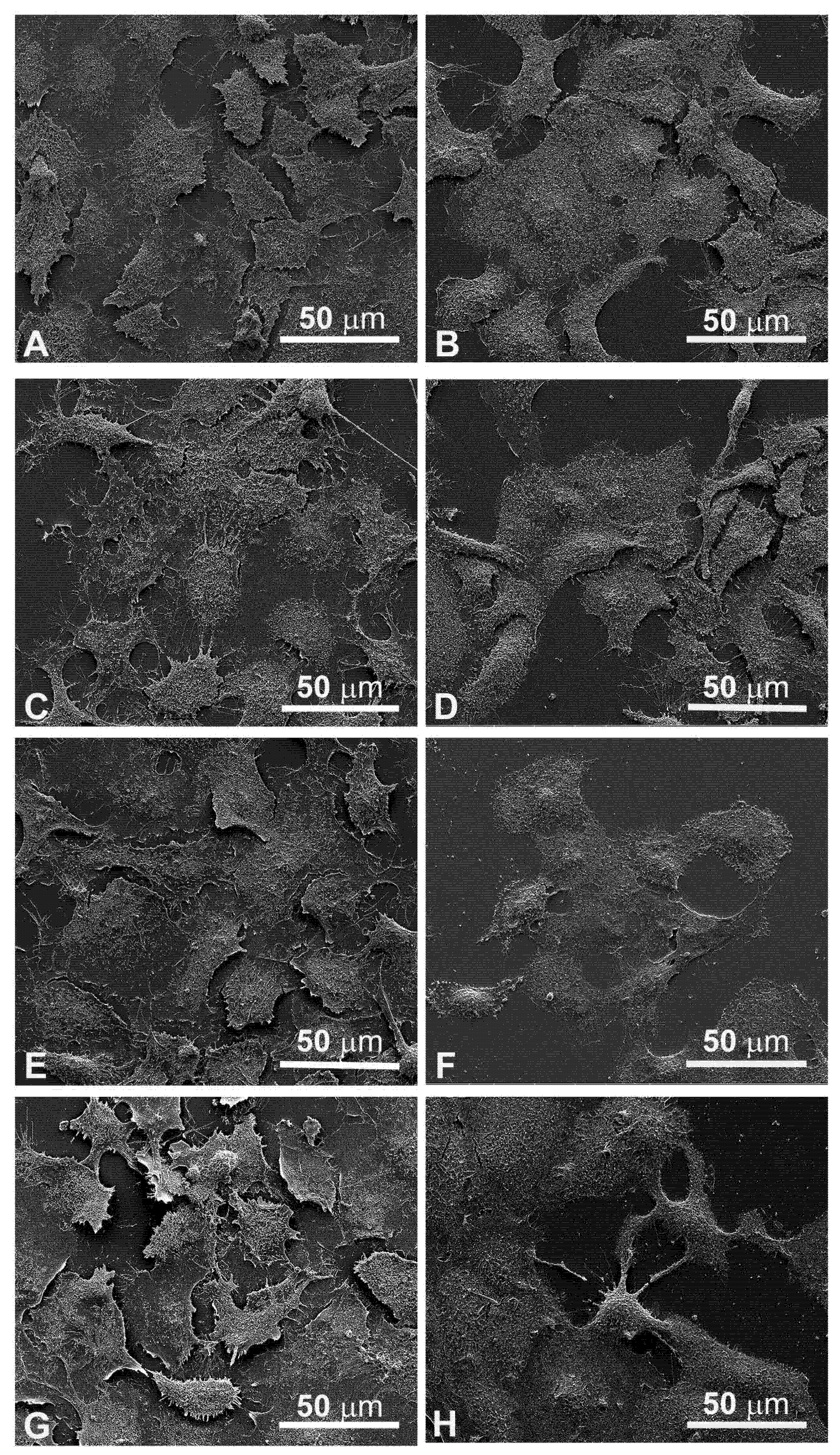 Cancers 13 03867 g005