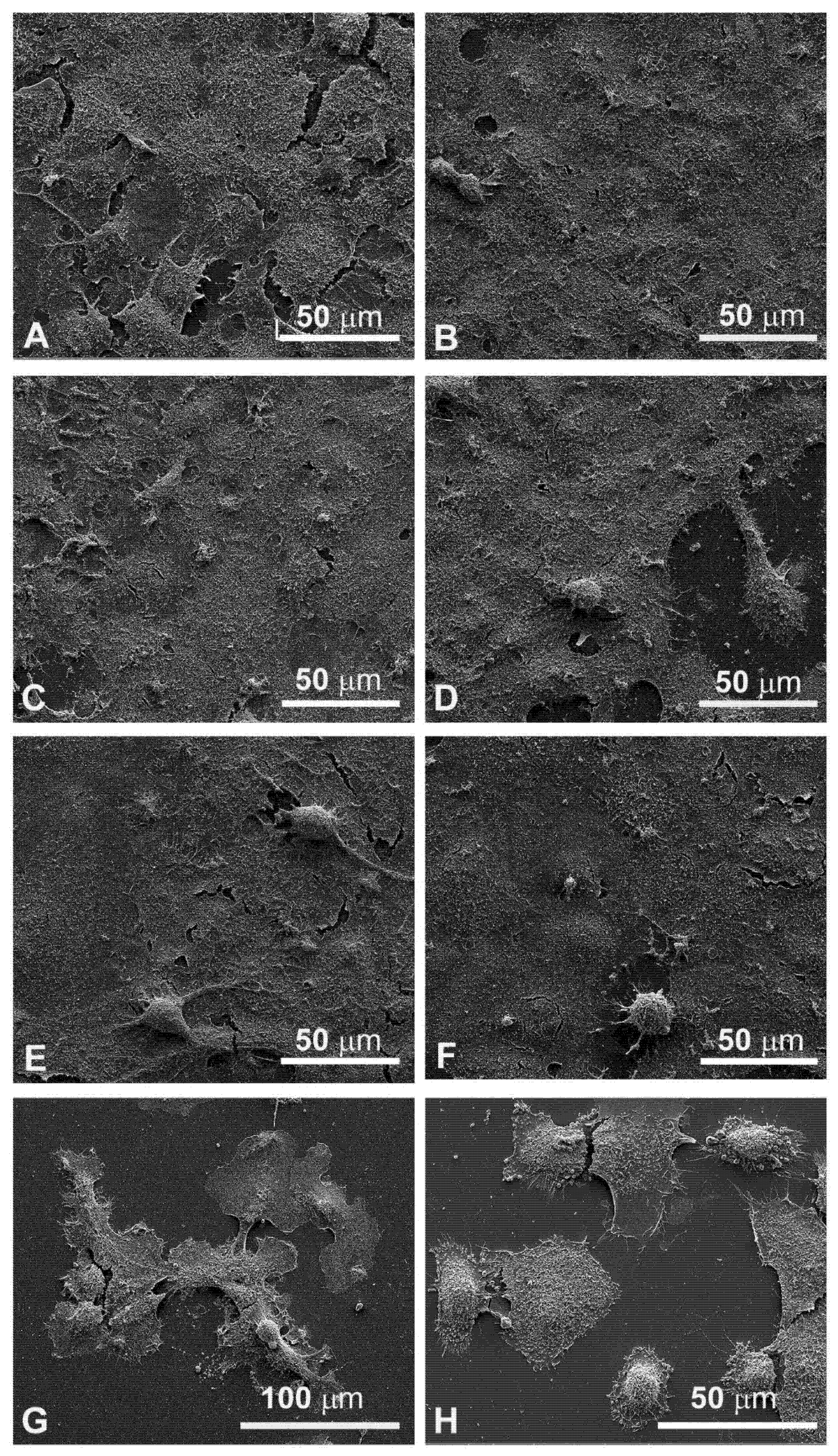 Cancers 13 03867 g006