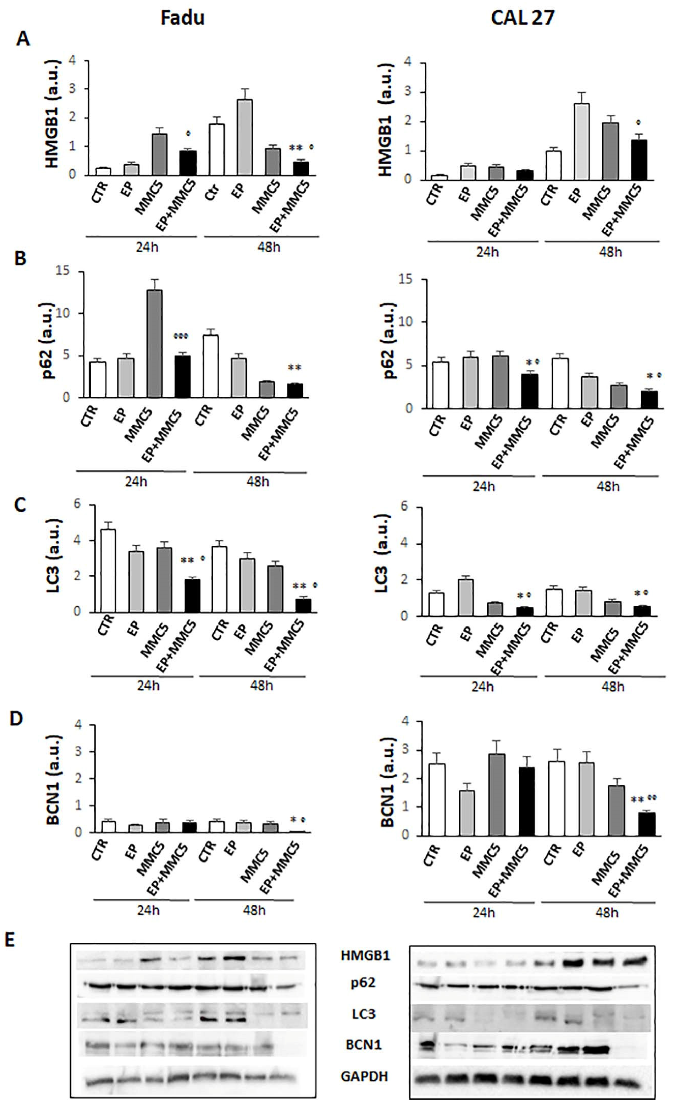 Cancers 13 03867 g011