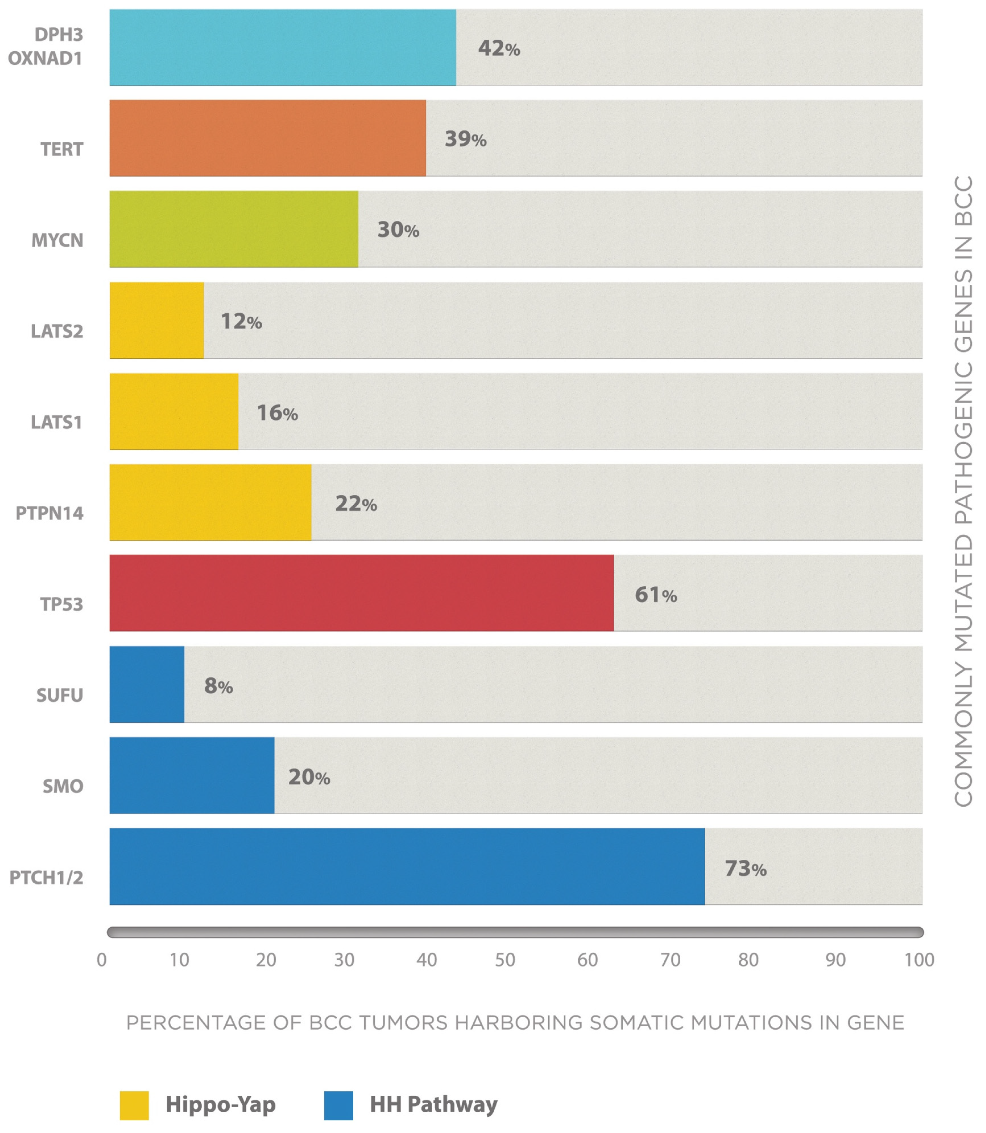 Cancers 13 03870 g003