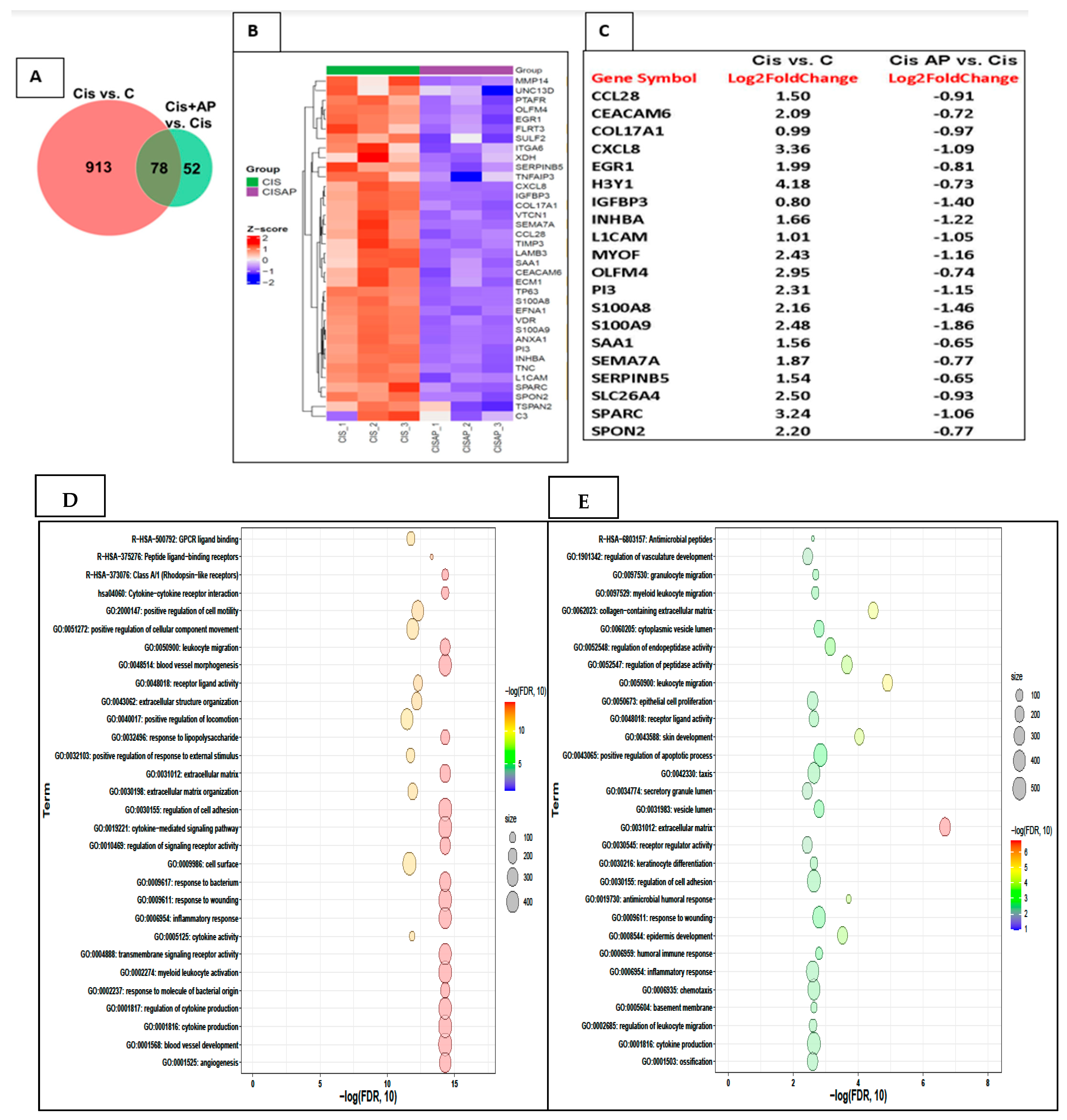 Cancers 13 03871 g005