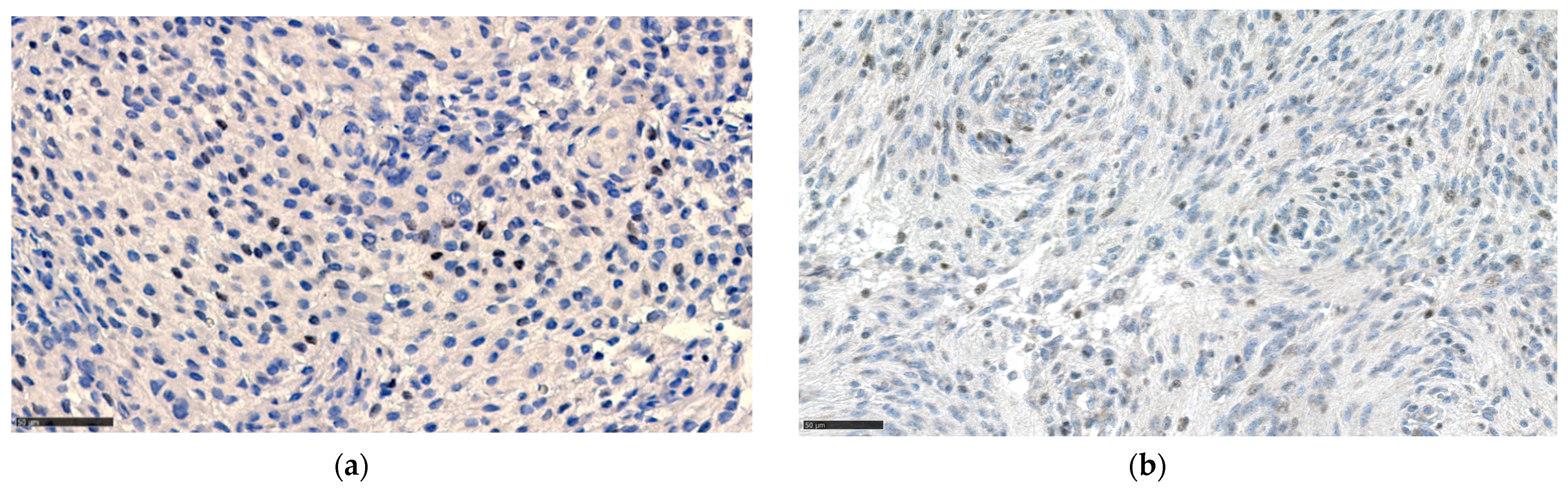 Cancers 13 03879 g003