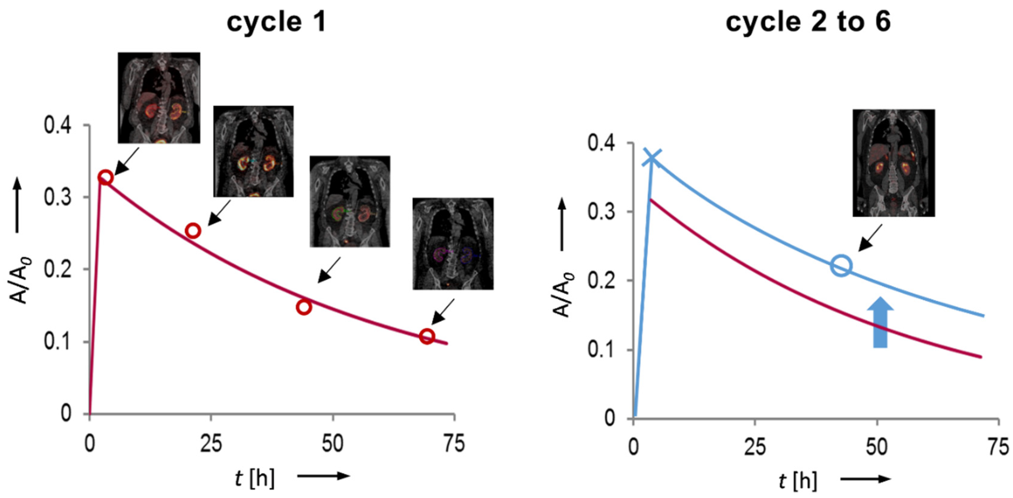 Cancers 13 03884 g001