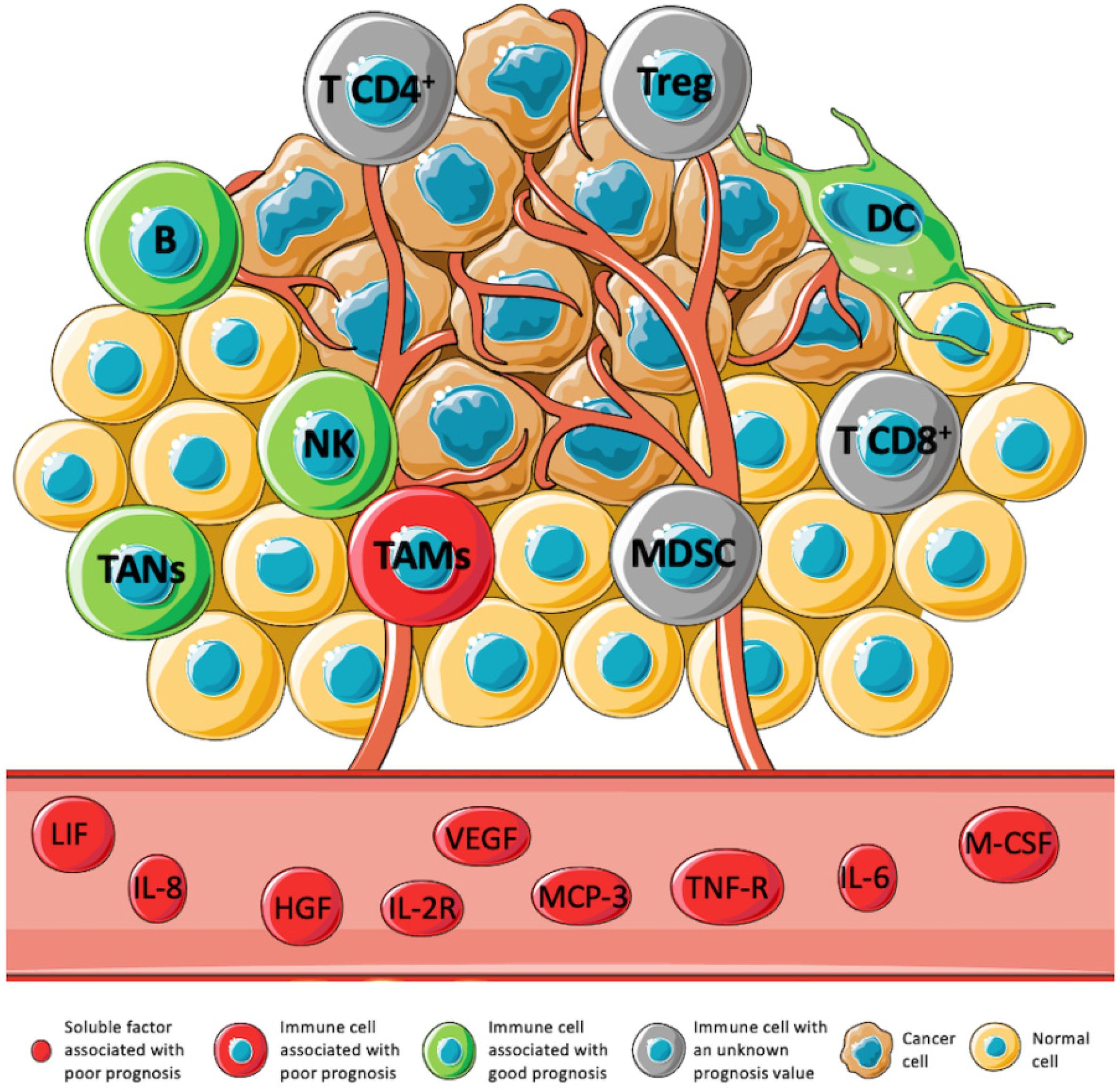 Cancers 13 03885 g001