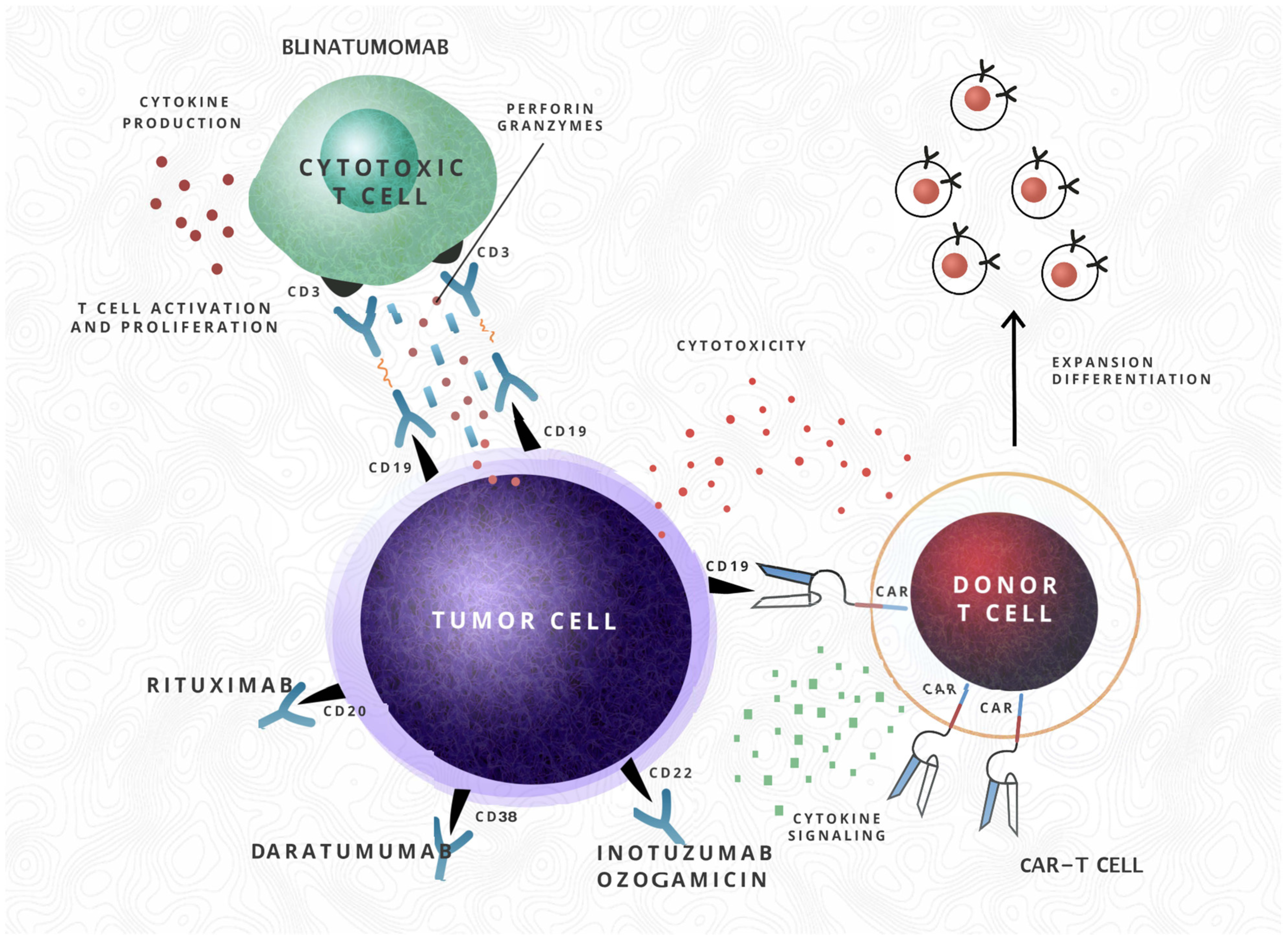 Cancers 13 03886 g001