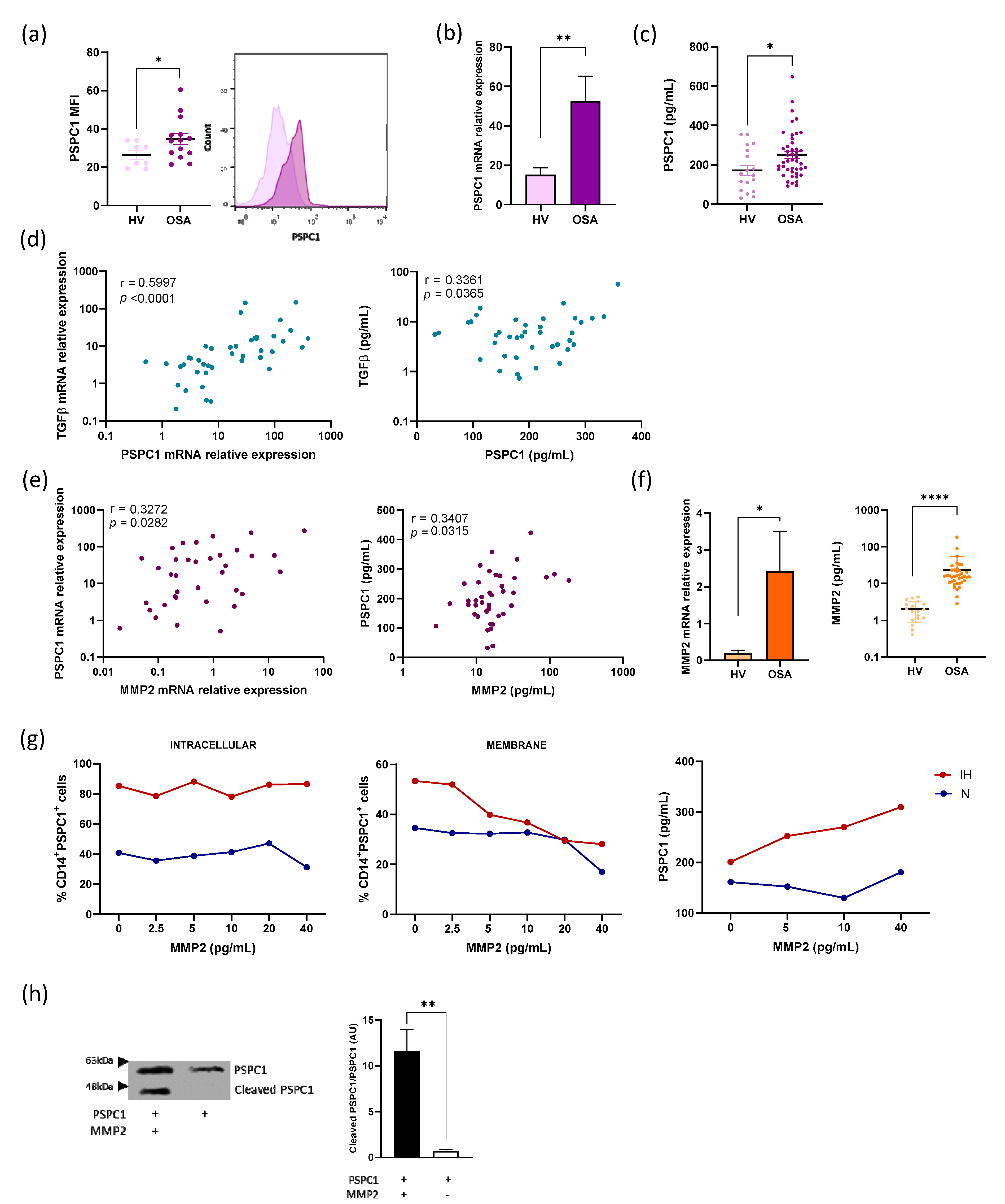 Cancers 13 03888 g001