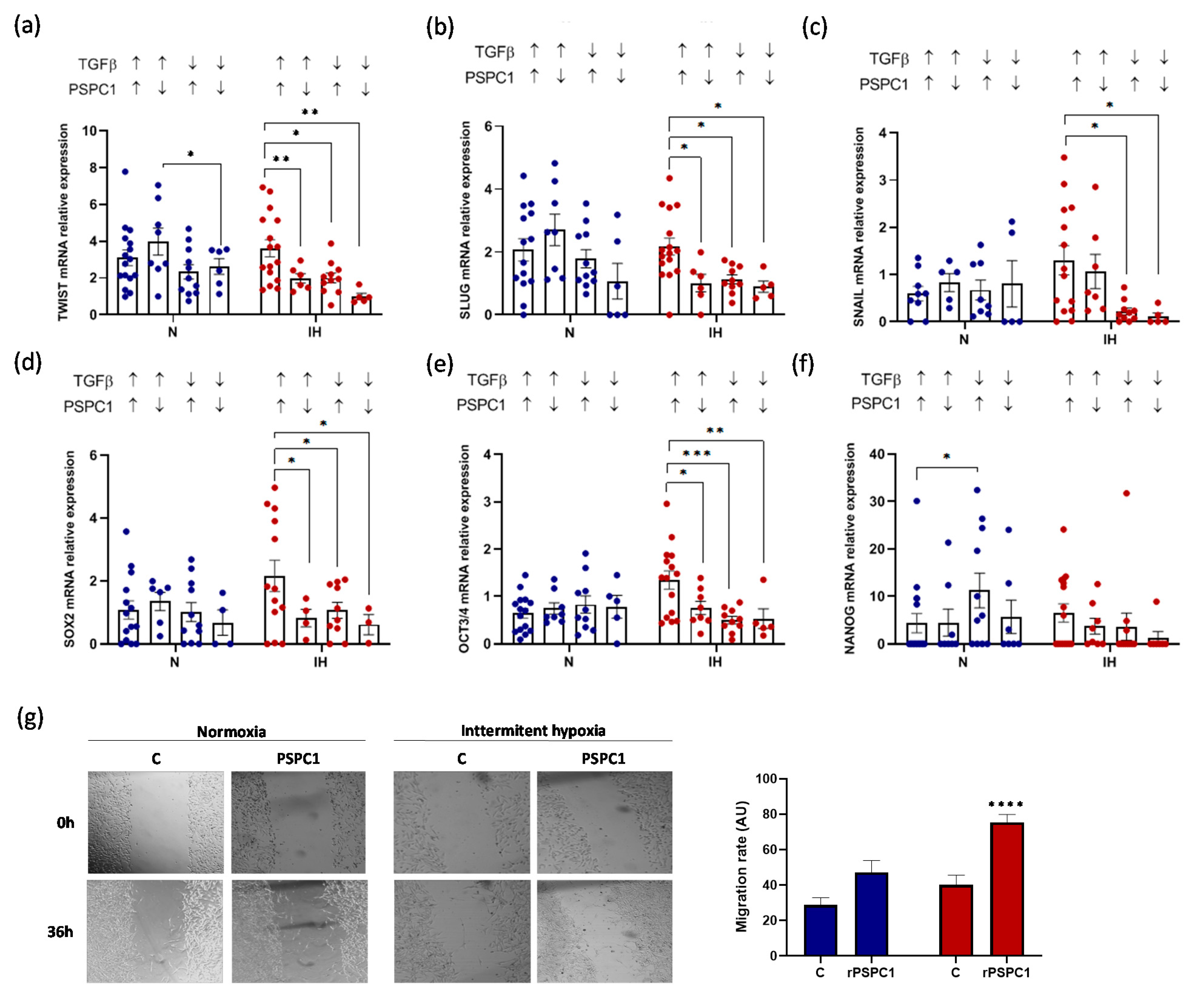 Cancers 13 03888 g005