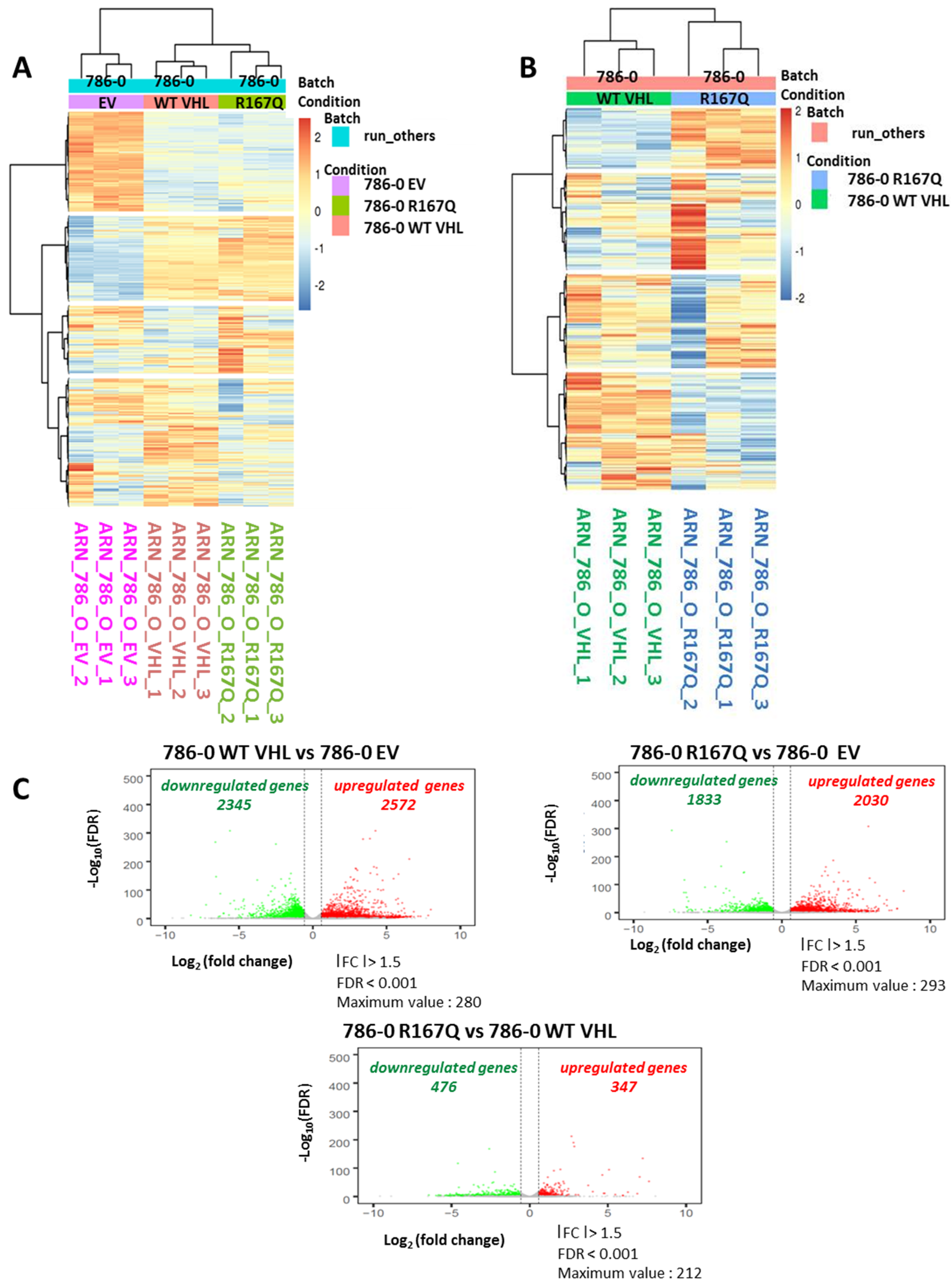 Cancers 13 03897 g003