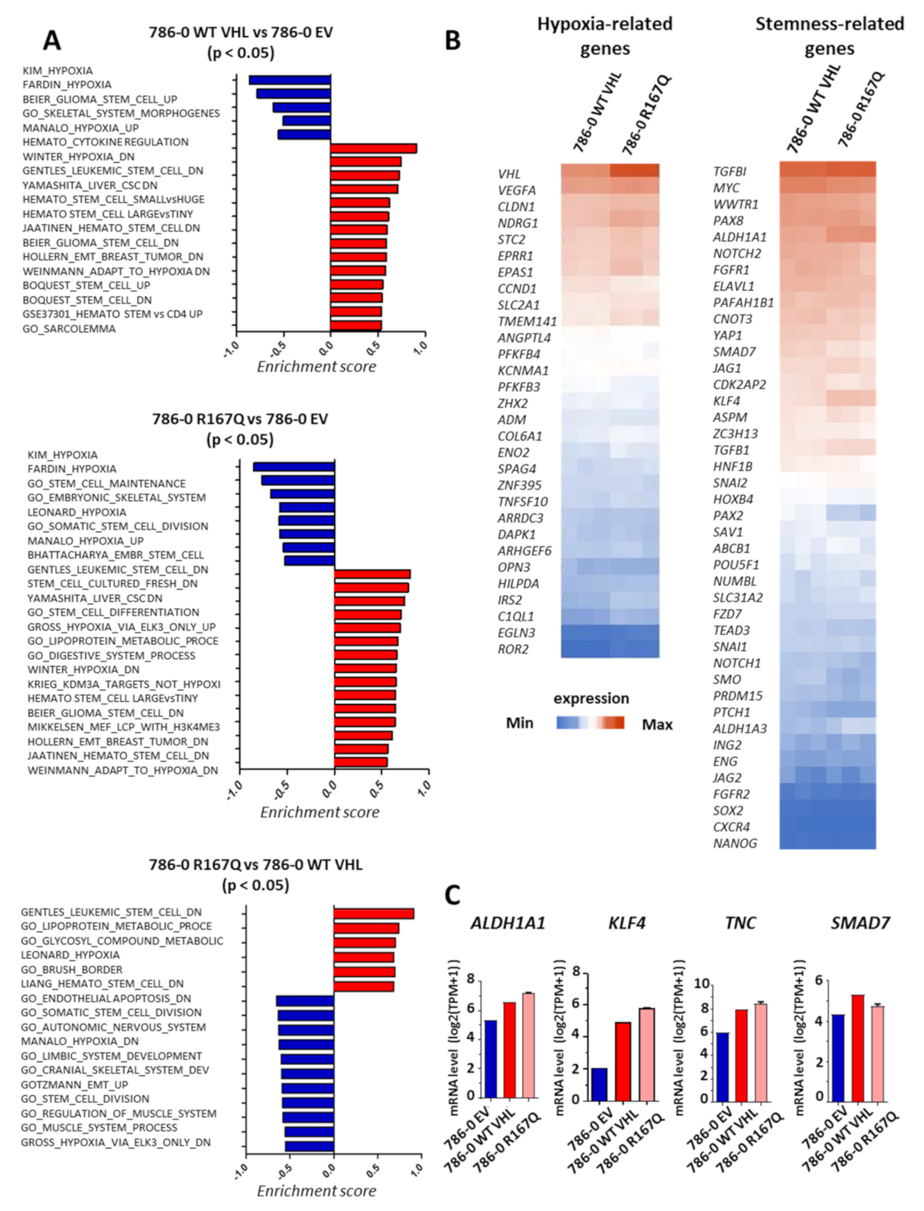 Cancers 13 03897 g004