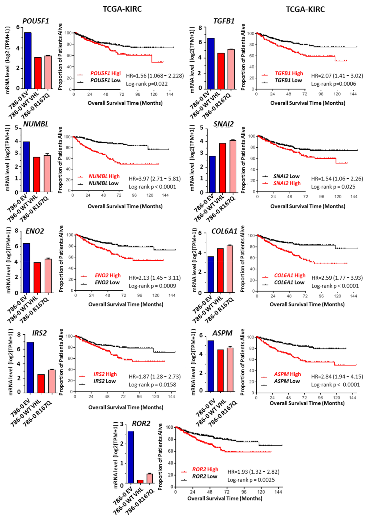 Cancers 13 03897 g005