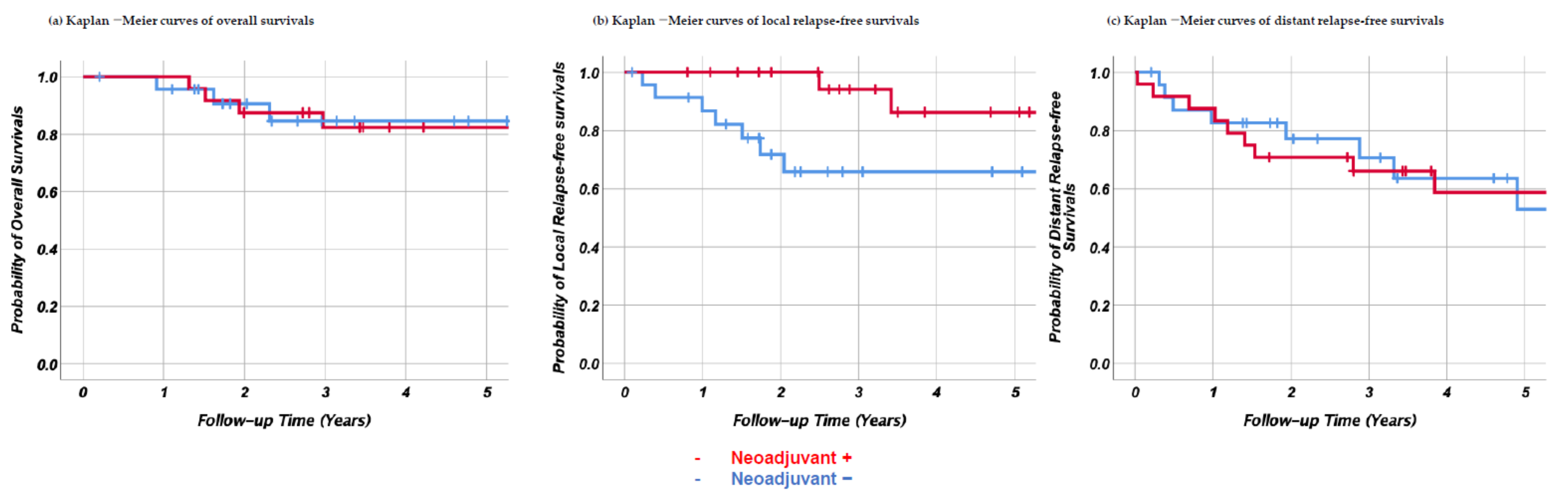 Cancers 13 03901 g004