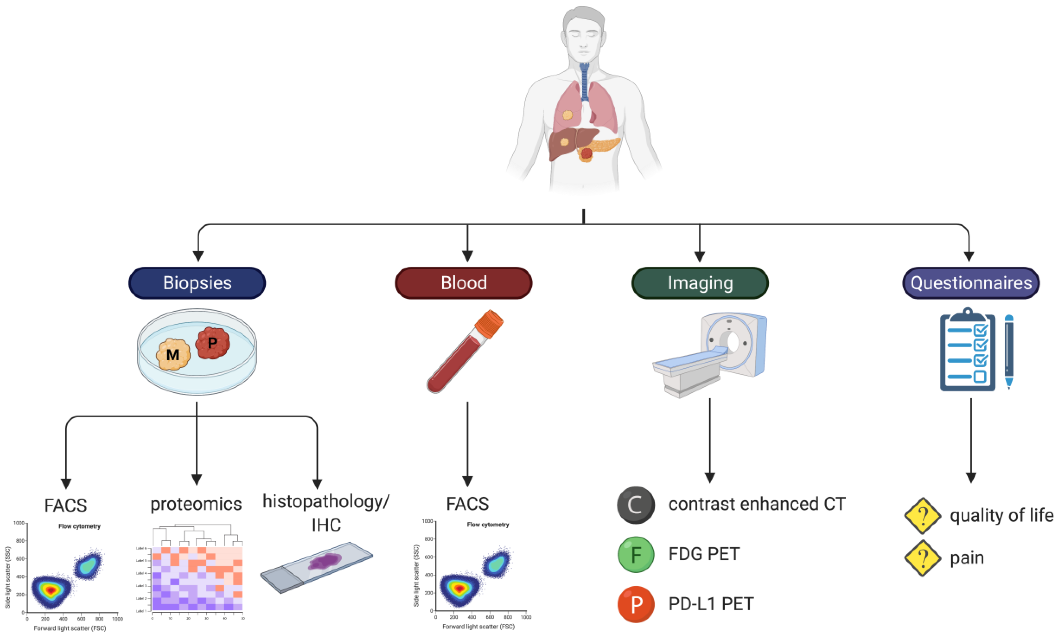 Cancers 13 03902 g004